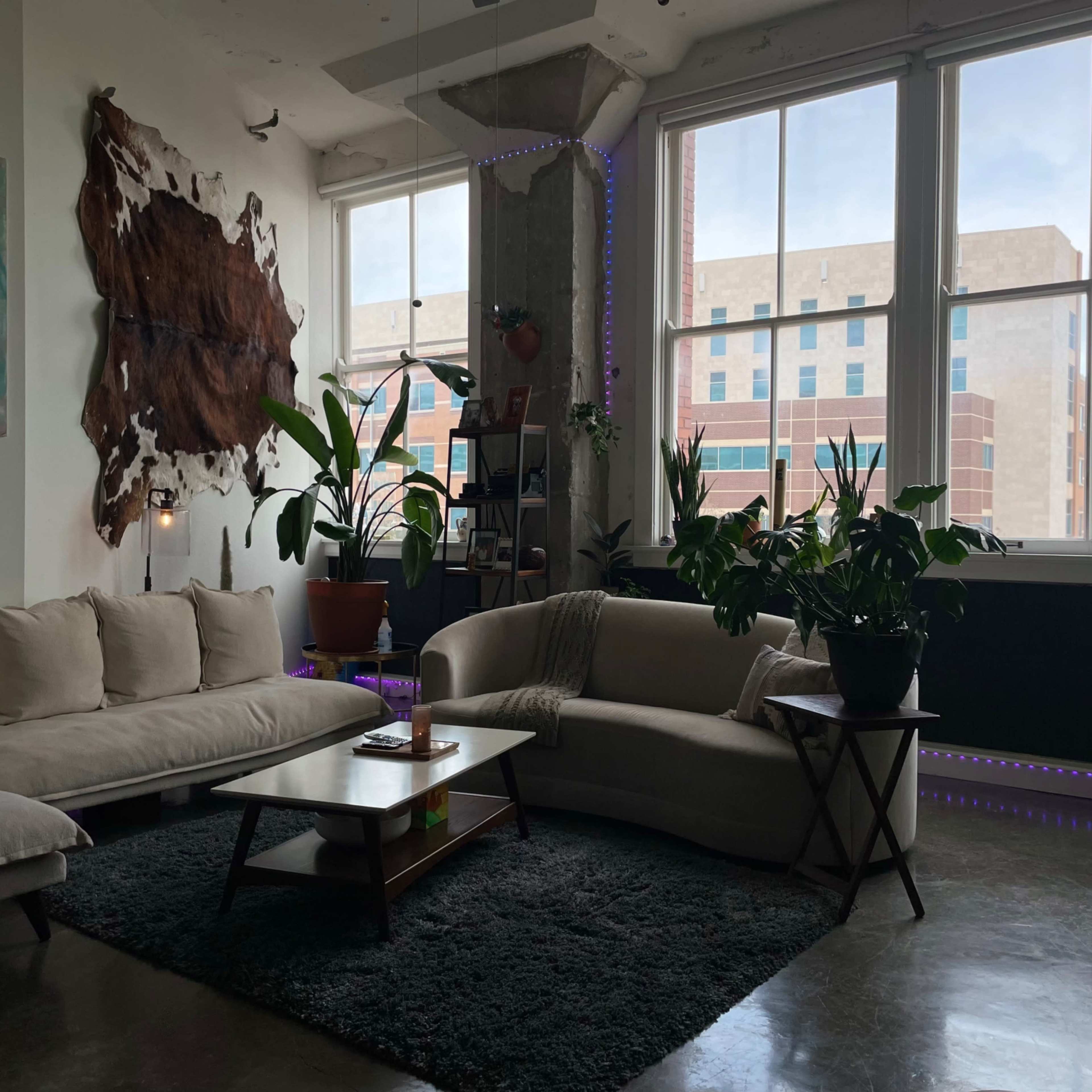 A cozy living room with two sofas, a coffee table, houseplants, and large windows that overlook a building across the street.
