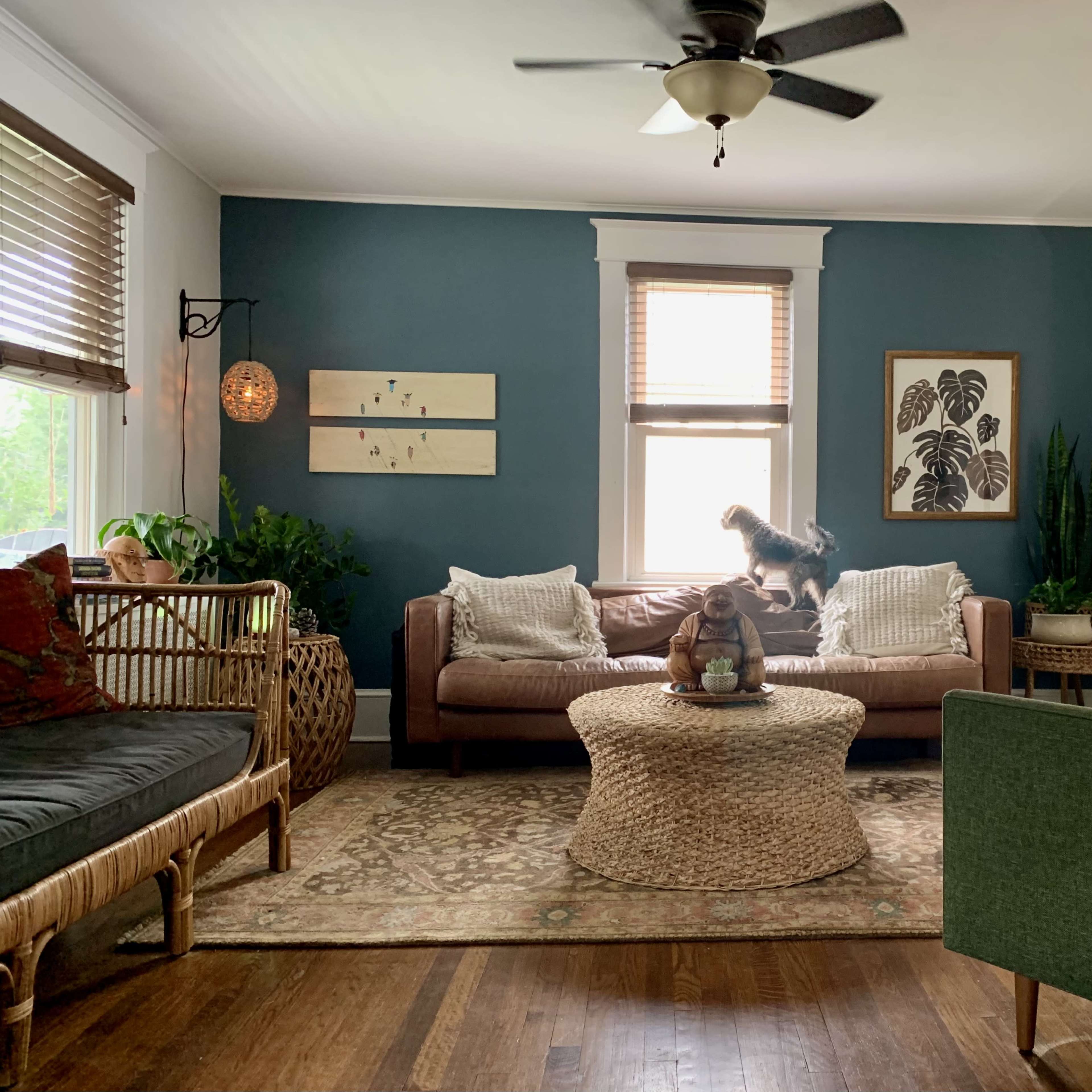 The living room features two sofas, a round woven coffee table, and a small dog standing on the couch, with potted plants and light filtering through a window.