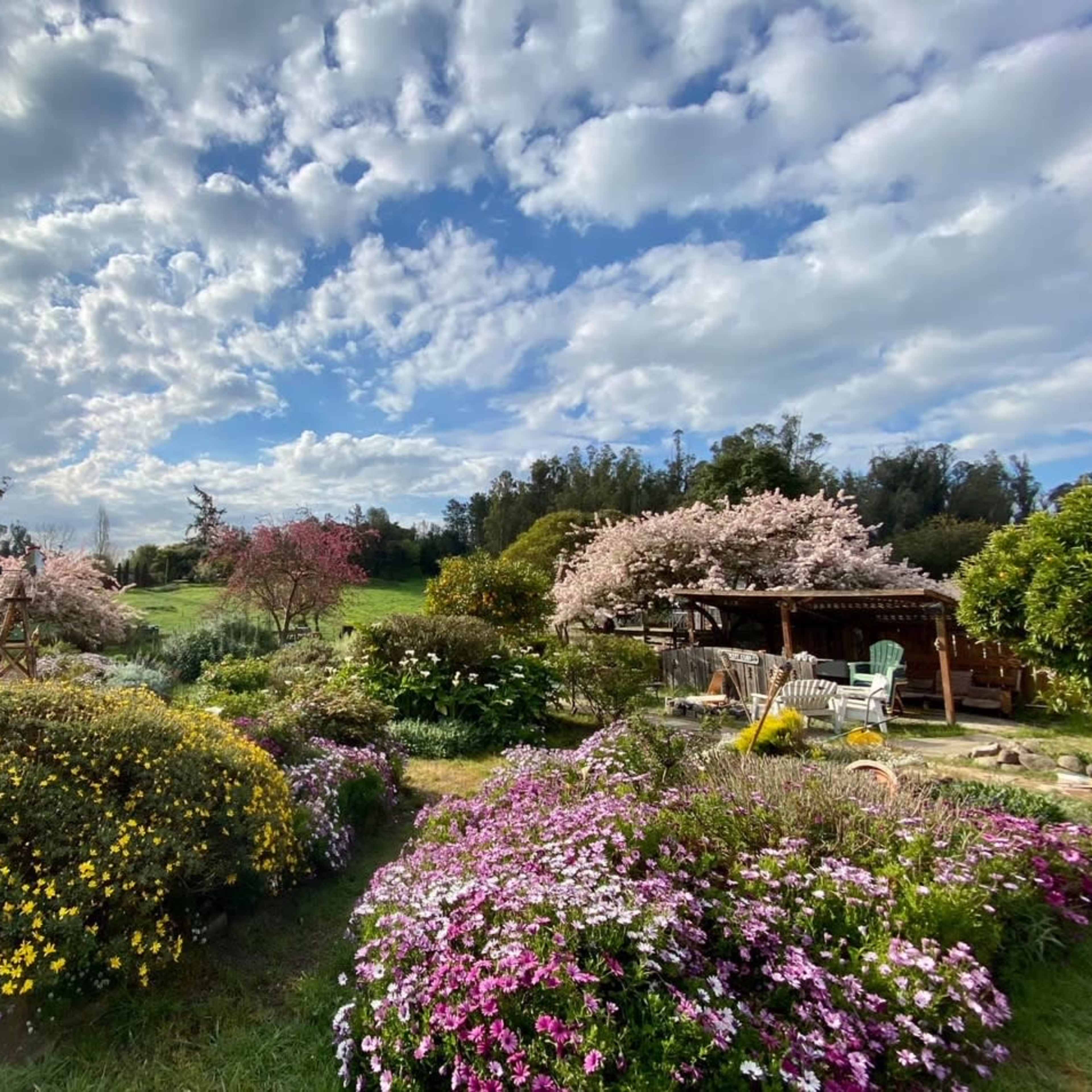 A vibrant garden filled with blooming flowers and trees under a partially cloudy sky.