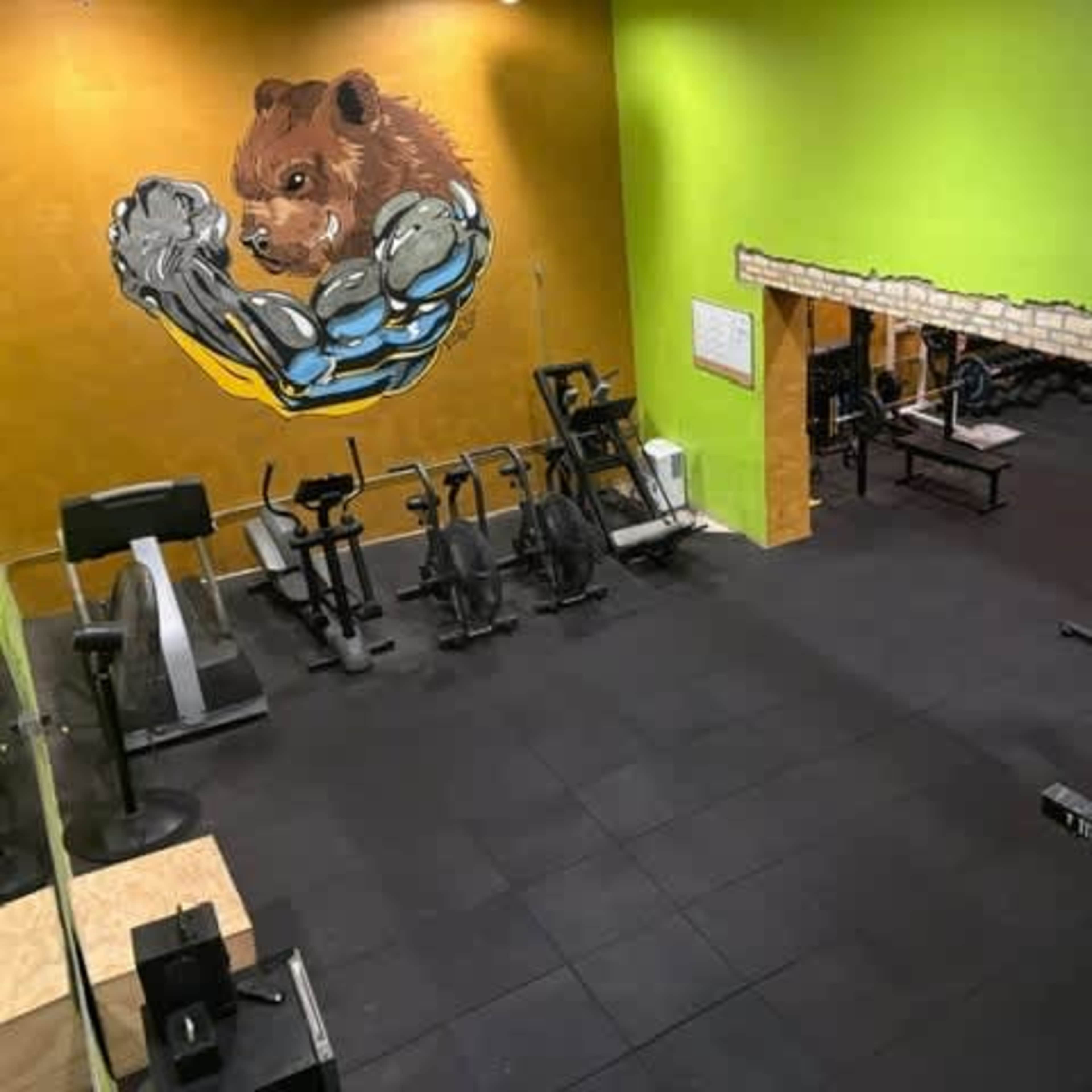 Chicago’s most unique gym: historic exterior, underground artistic interior full of character (Edgewater Chicago) Image in Edgewater, Chicago, IL