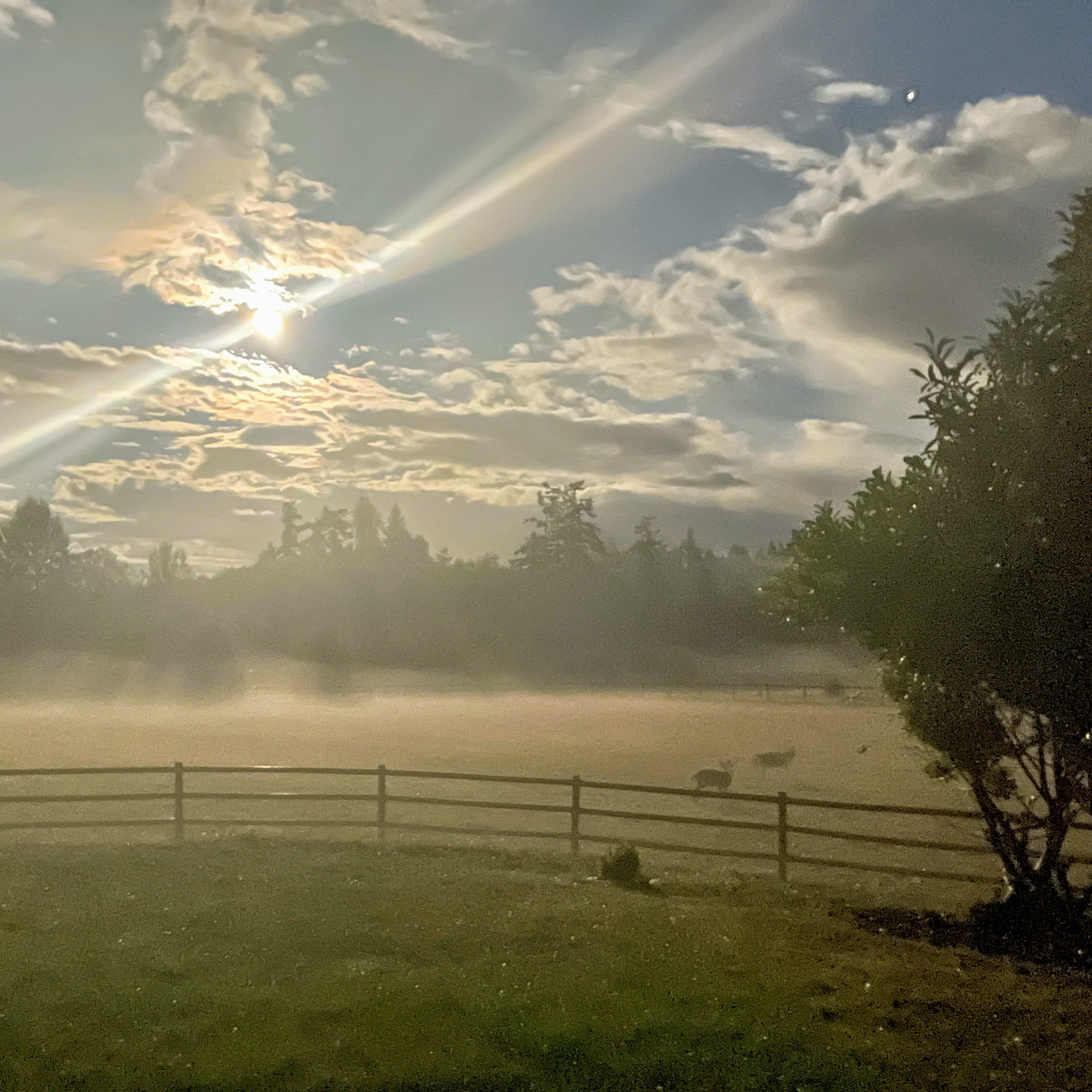 A misty landscape at dawn with a low sun partially obscured by clouds and a wooden fence in the foreground.