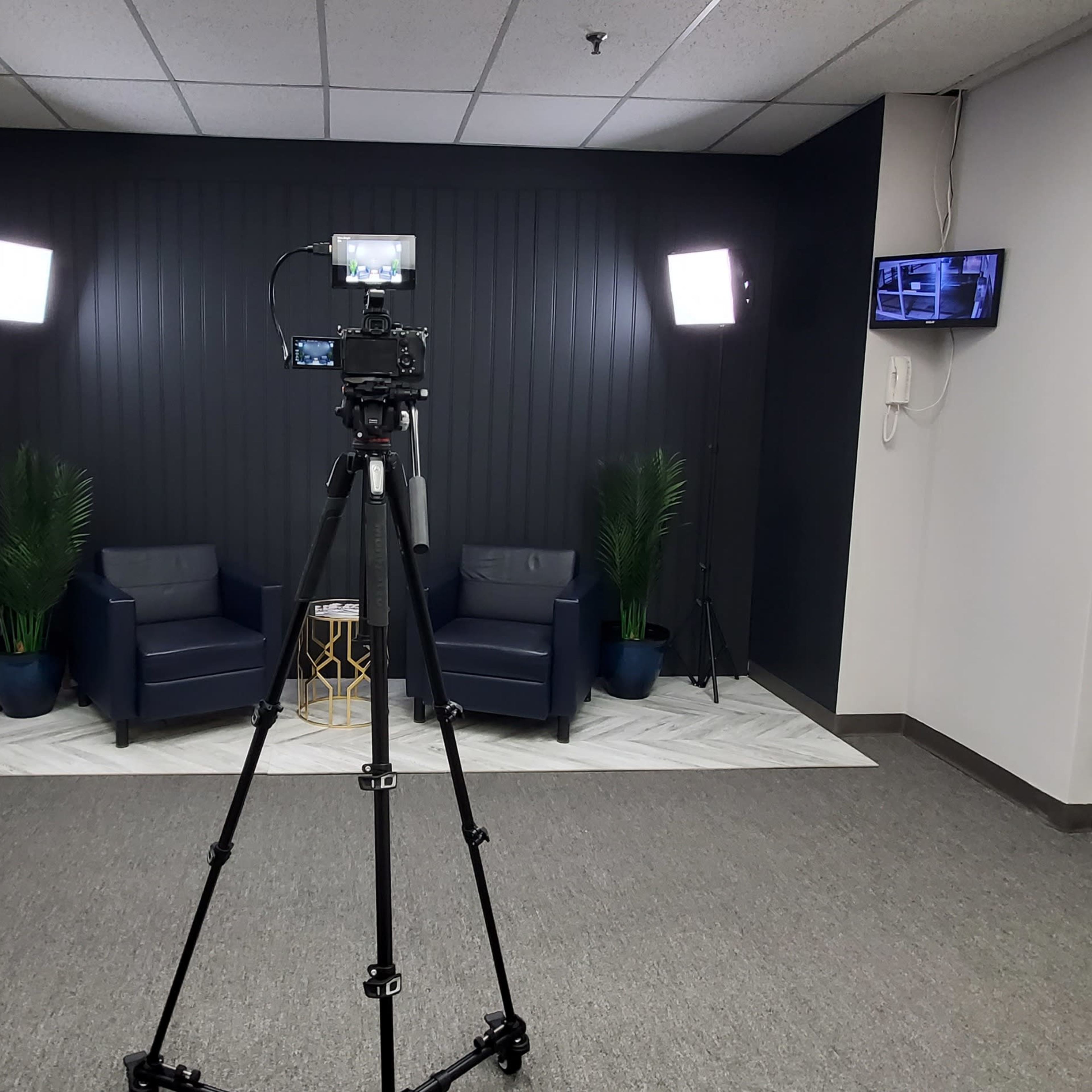 A camera on a tripod is positioned in a studio setting facing two blue chairs with potted plants against a dark wall, illuminated by two lights.