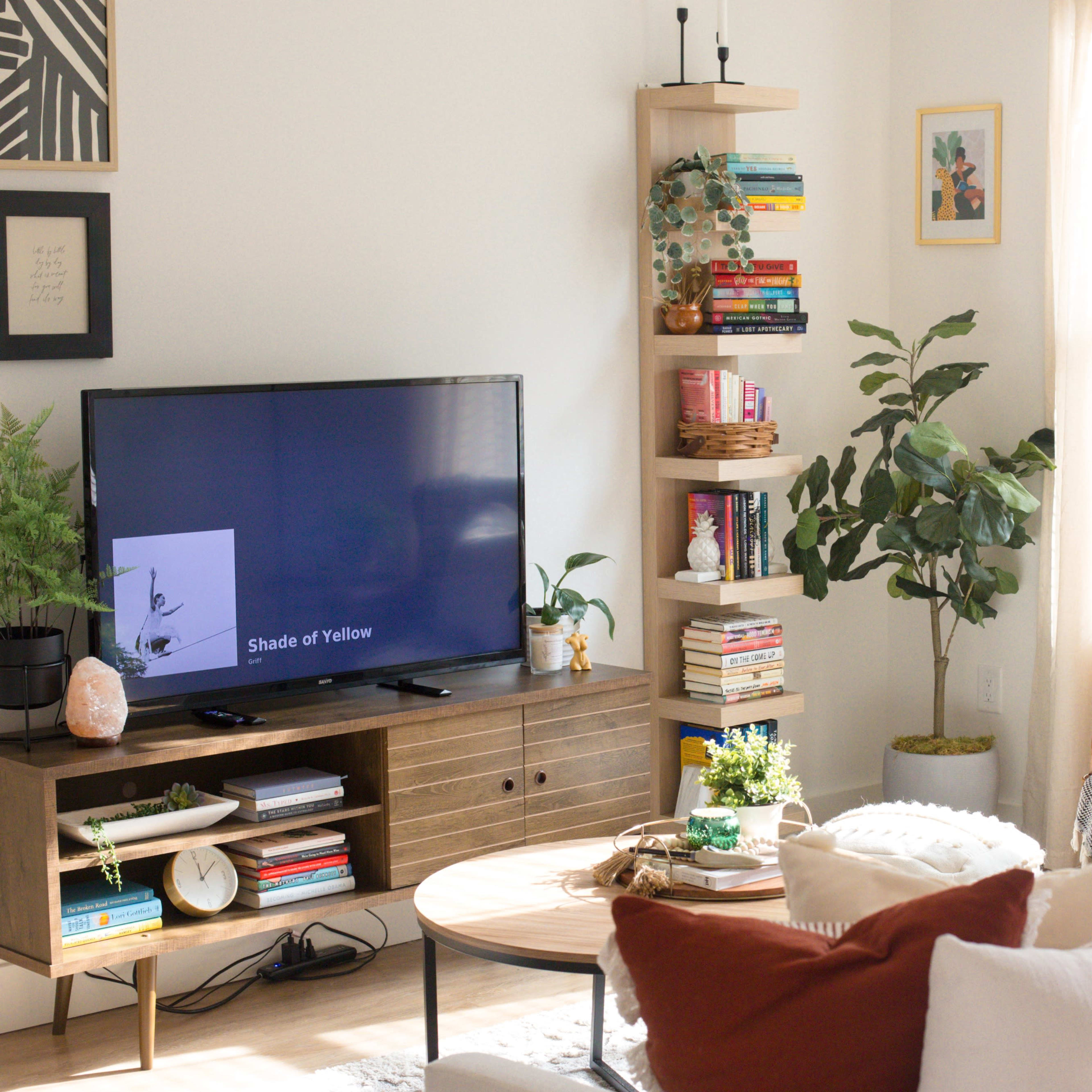 A cozy living room features a television on a wooden stand, a bookshelf filled with books, plants, and comfortable seating arrangements.
