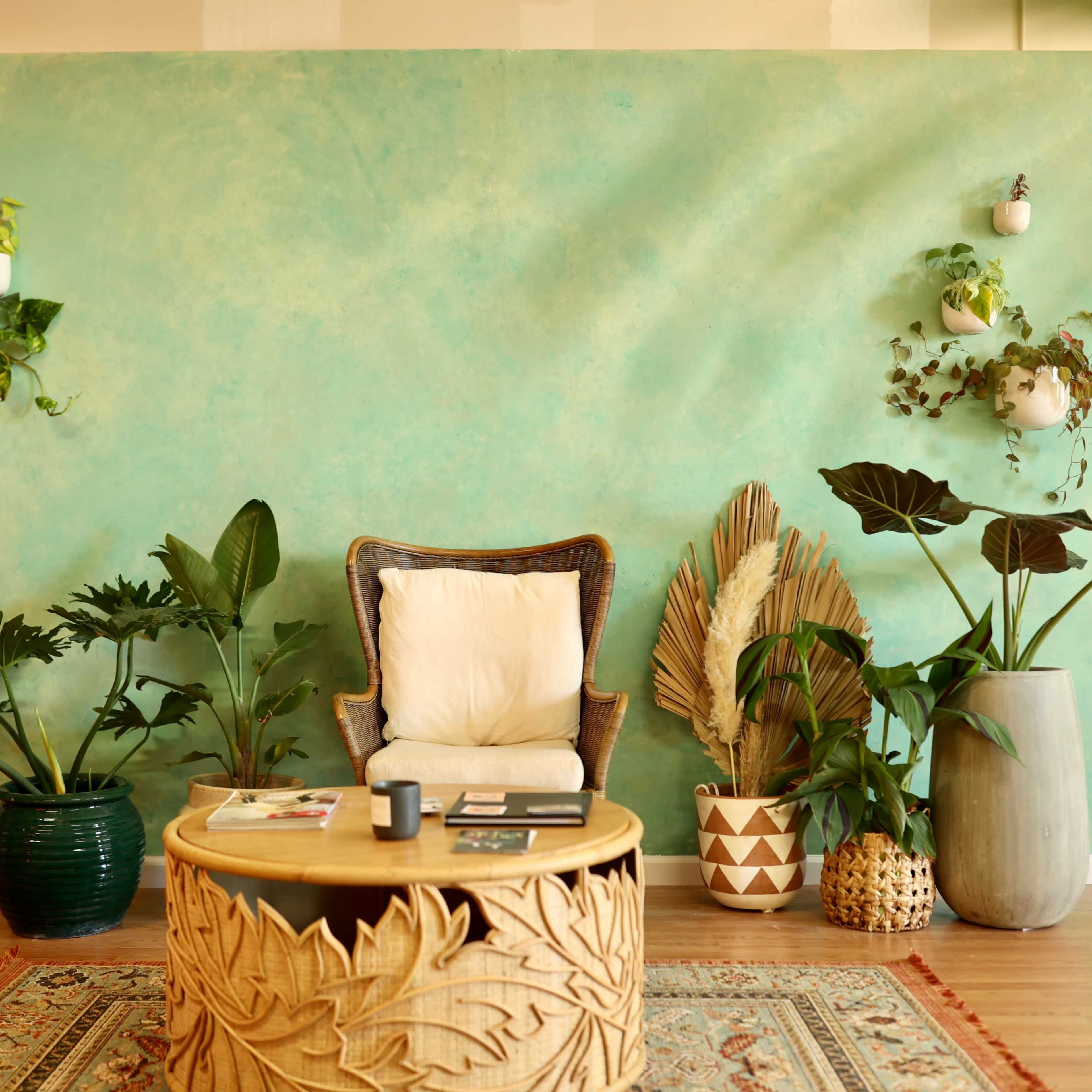A cozy seating area features a woven chair and a decorative wooden table, surrounded by various indoor plants against a turquoise wall.