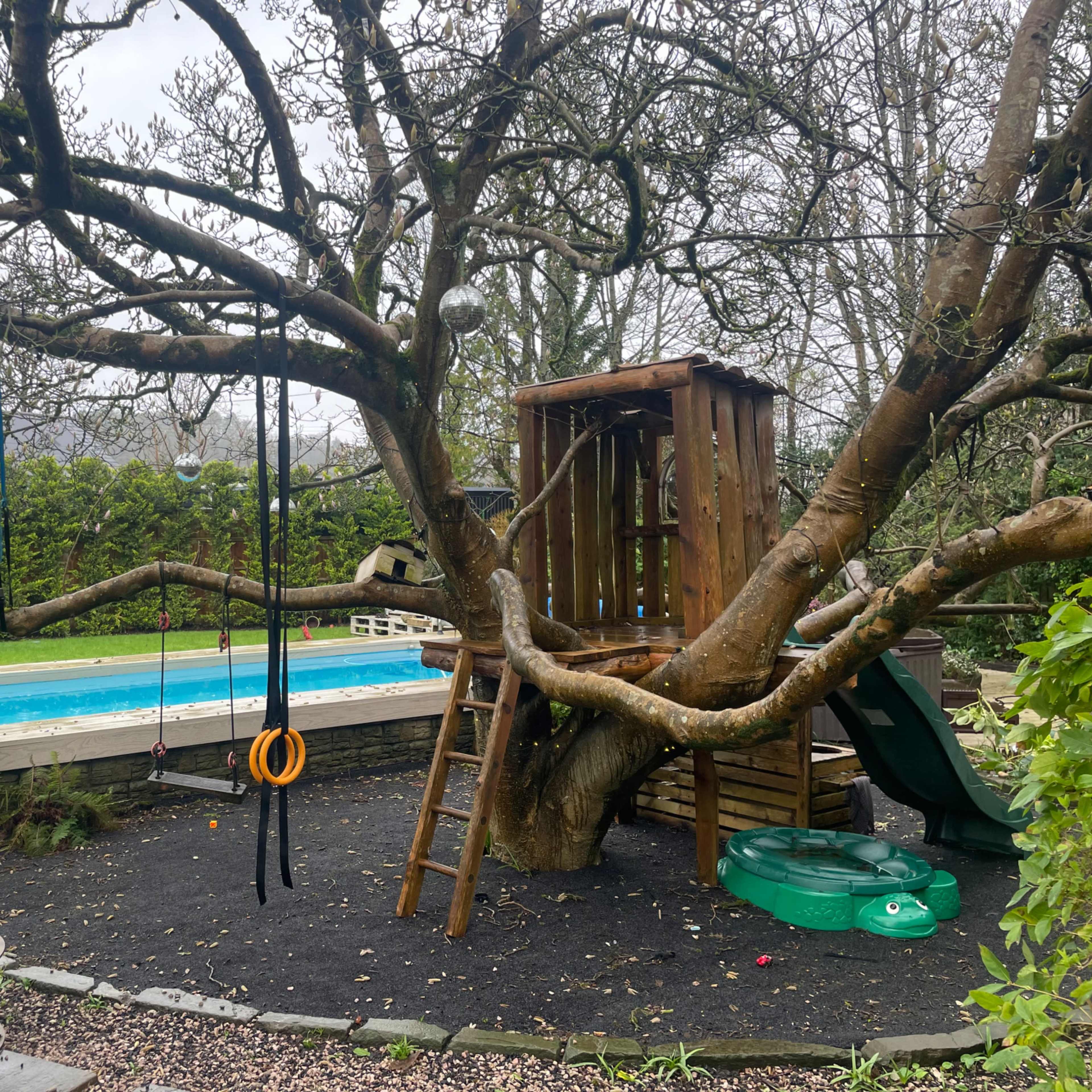 A wooden play structure with swings is situated beside a swimming pool, under a large tree with a thick trunk and sparse branches.