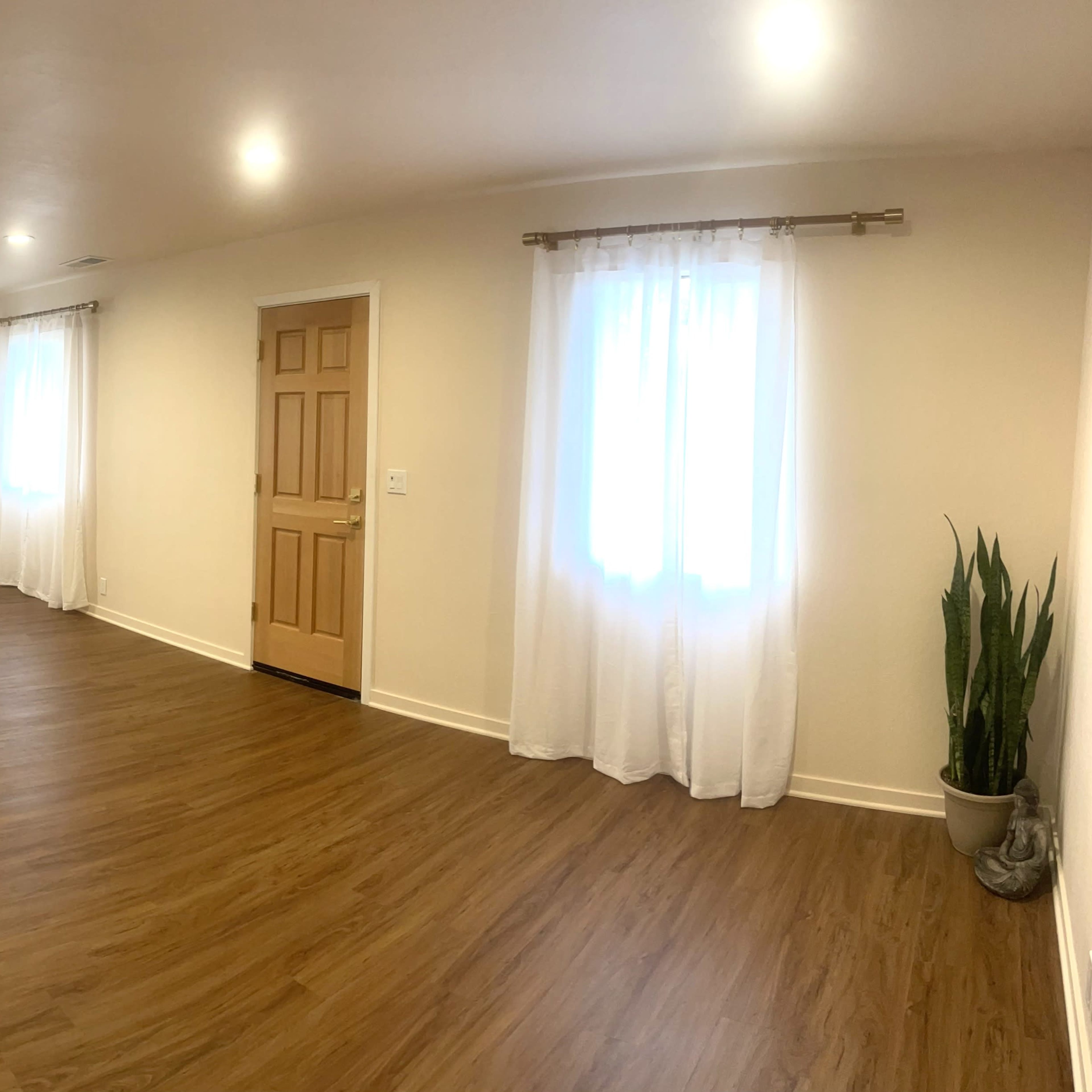 A spacious, well-lit room with hardwood flooring, two windows dressed with sheer curtains, a door, and a potted plant in the corner.