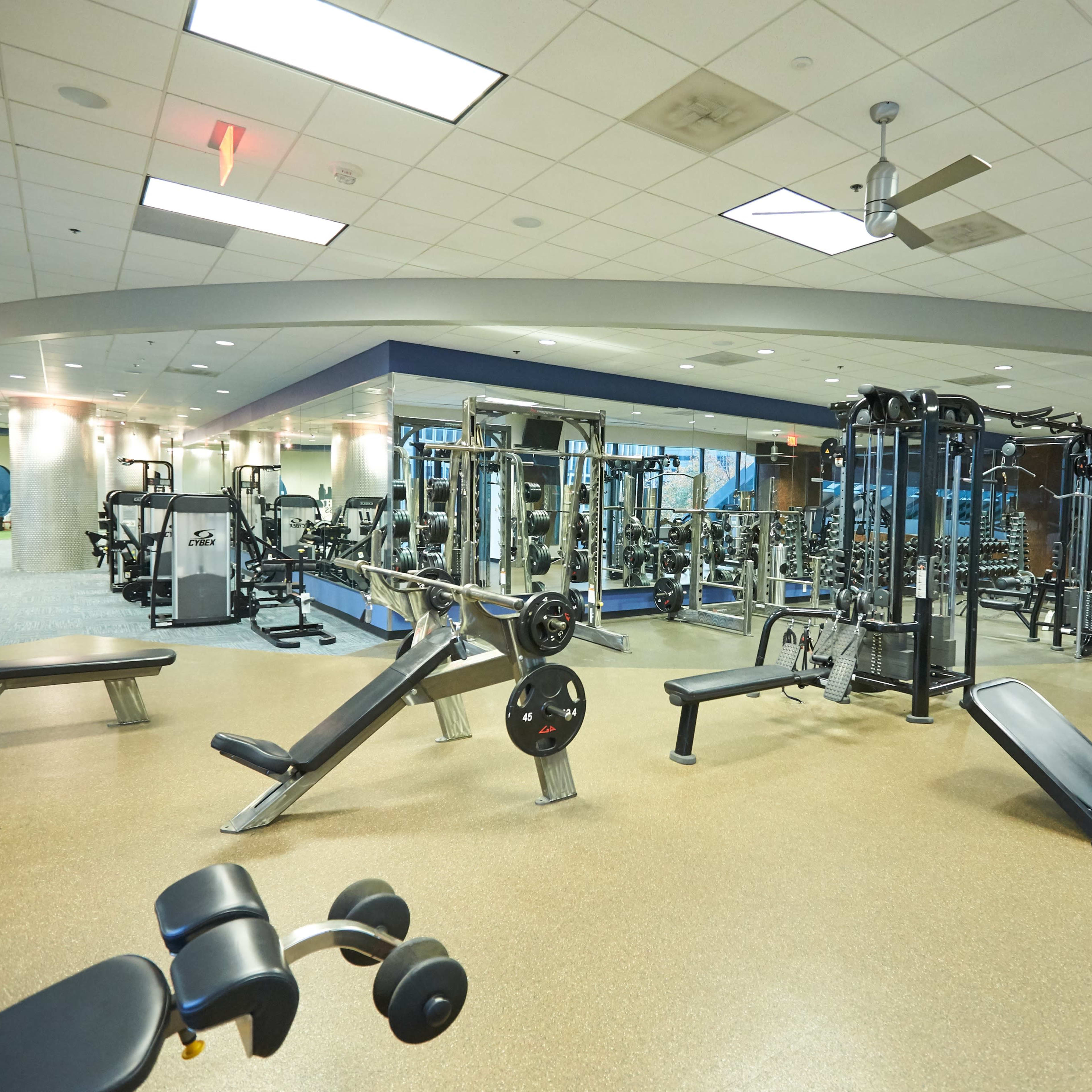 A spacious gym interior equipped with various workout machines and free weights arranged throughout the area.