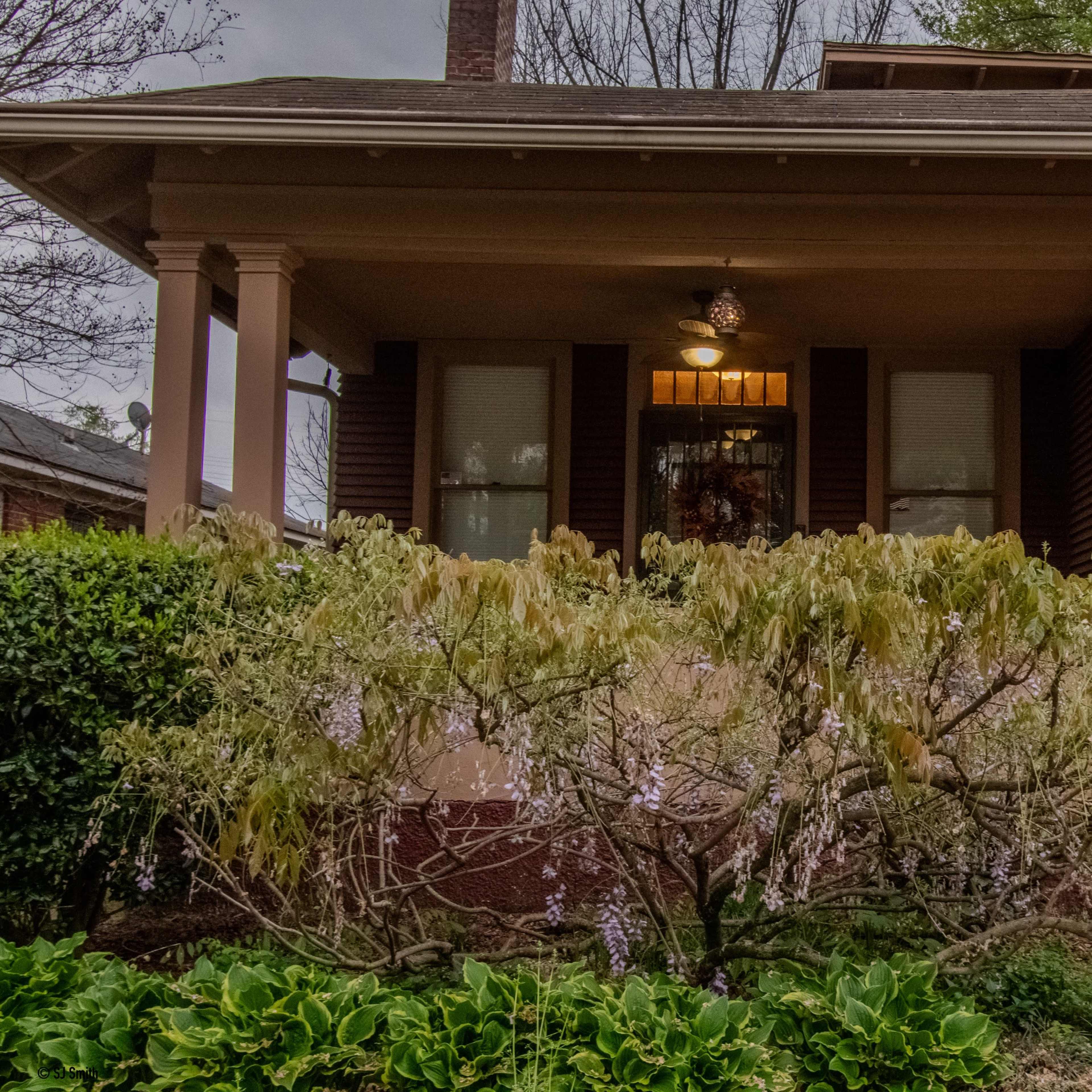A porch with a light fixture and windows is seen in front of a brown house, framed by a bush with hanging purple flowers.