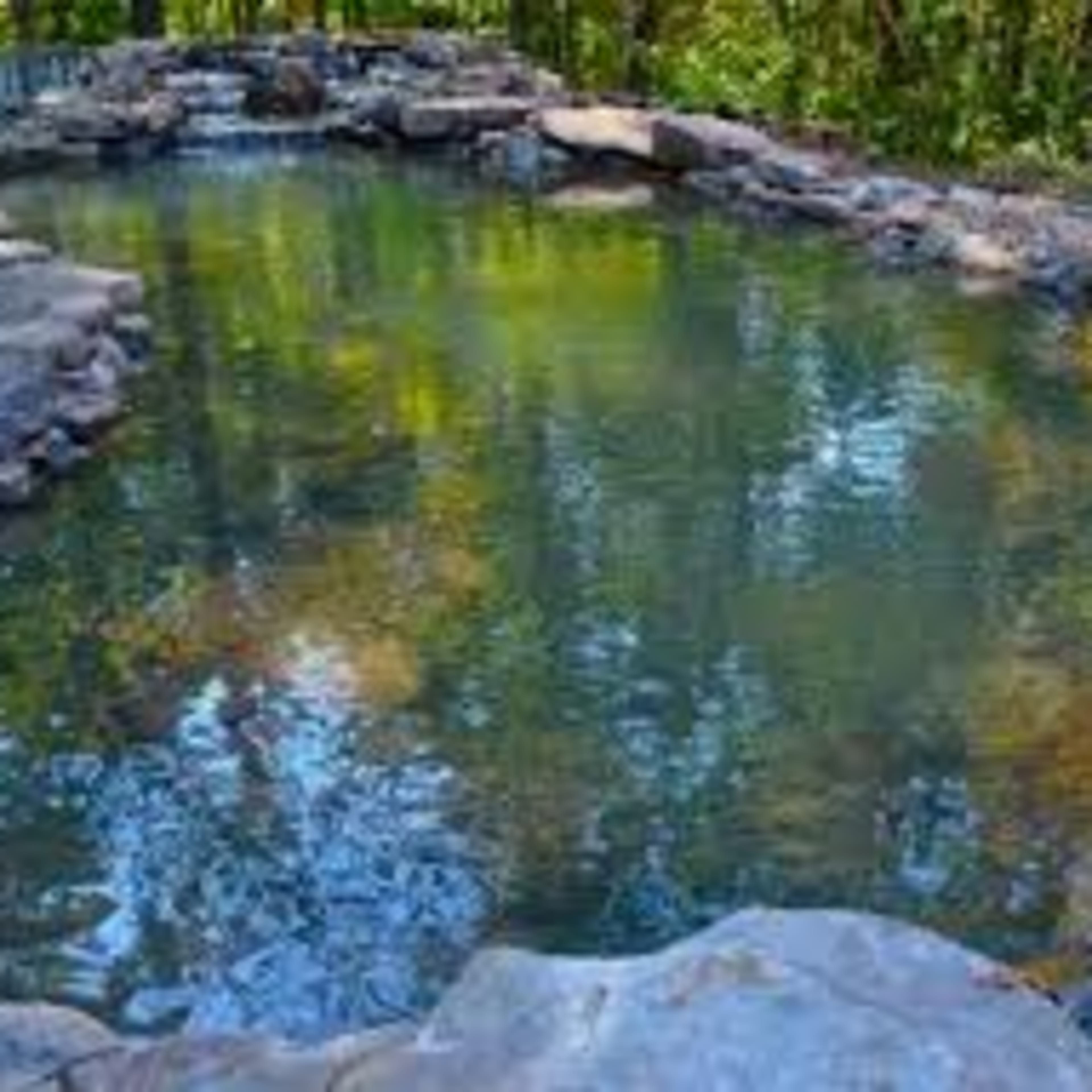 A natural stone-lined pond is surrounded by trees and reflects the greenery above.