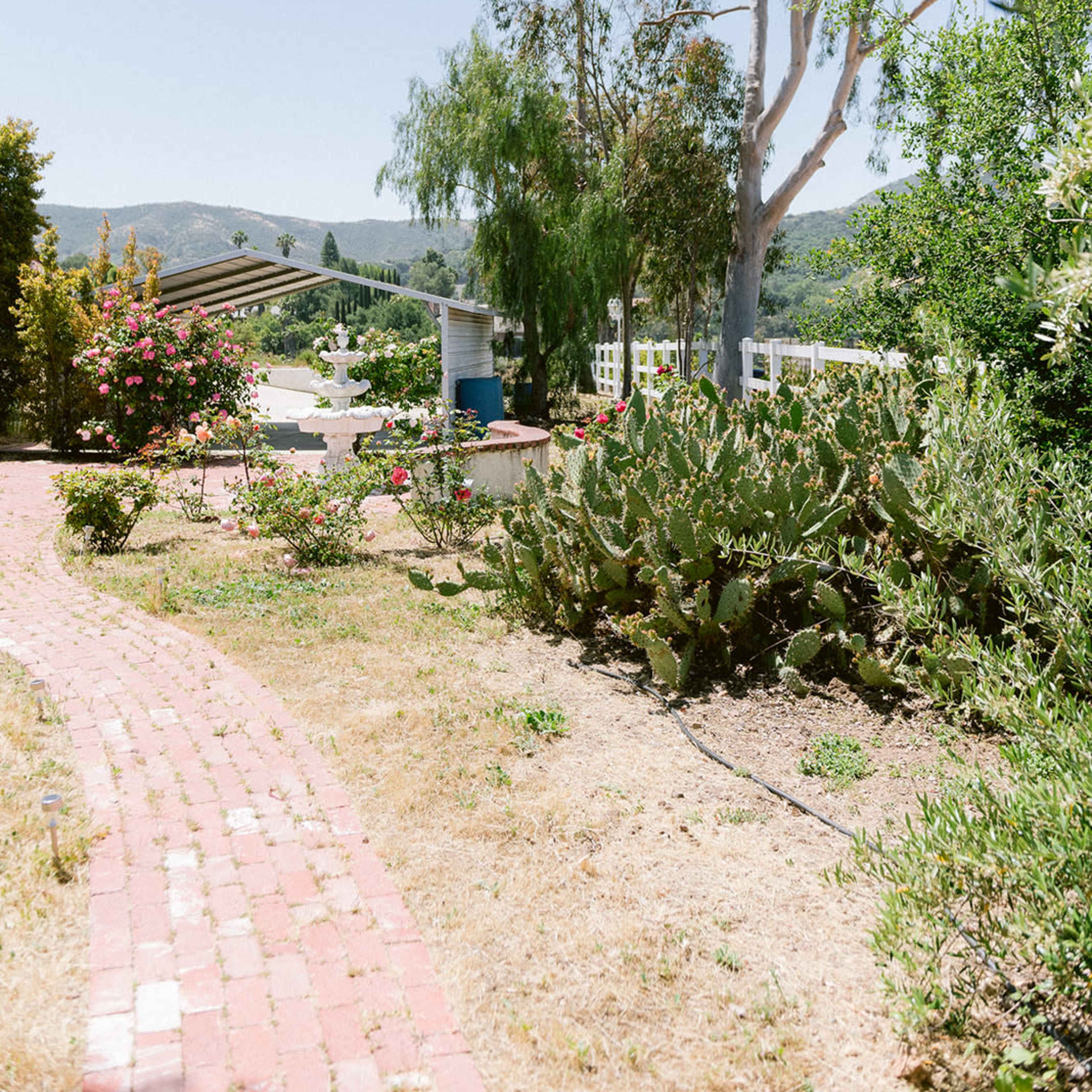 A brick path winds through a garden featuring various plants and cacti, leading towards a distant bridge and mountains under a clear sky.