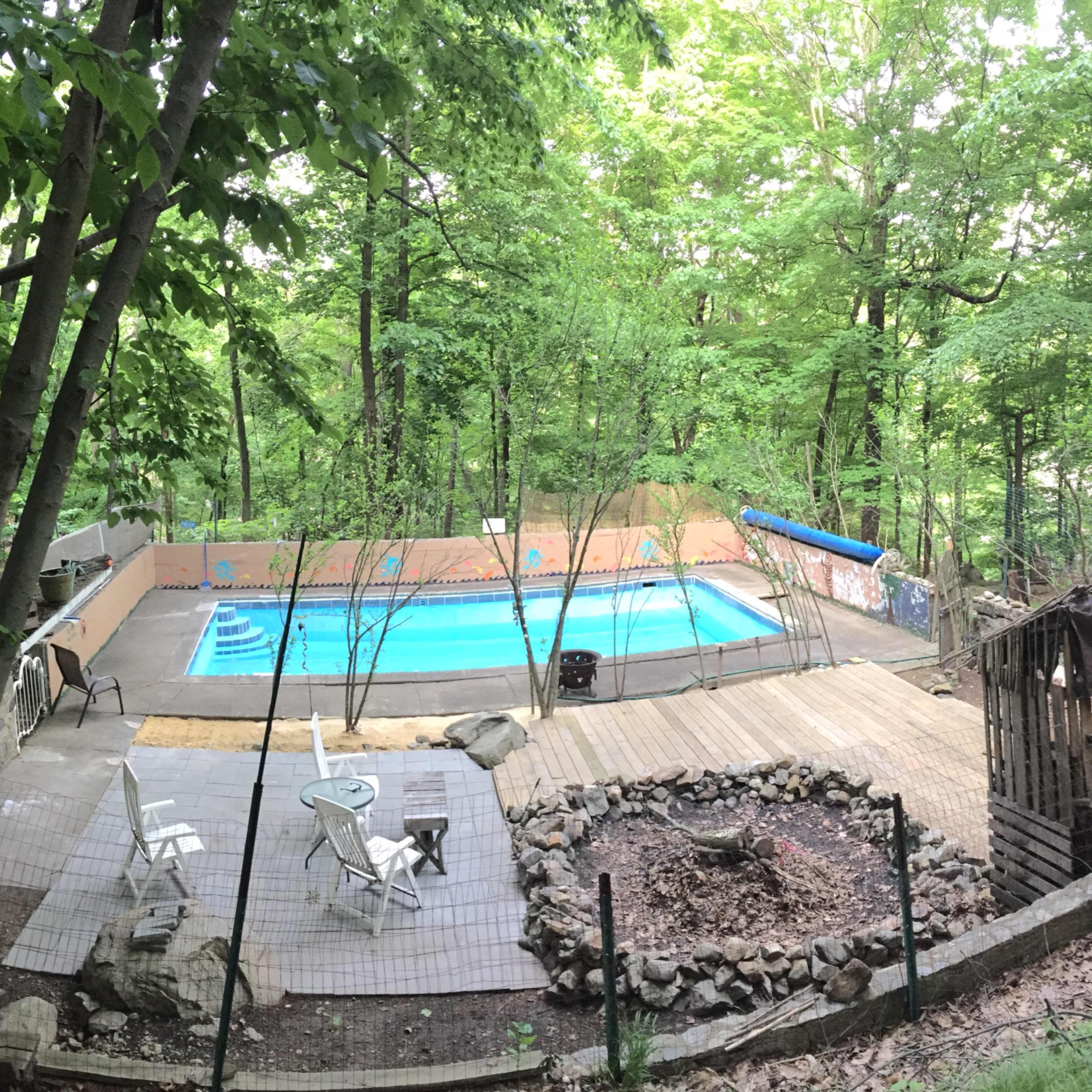 A swimming pool surrounded by wooden decking and a secluded wooded area.