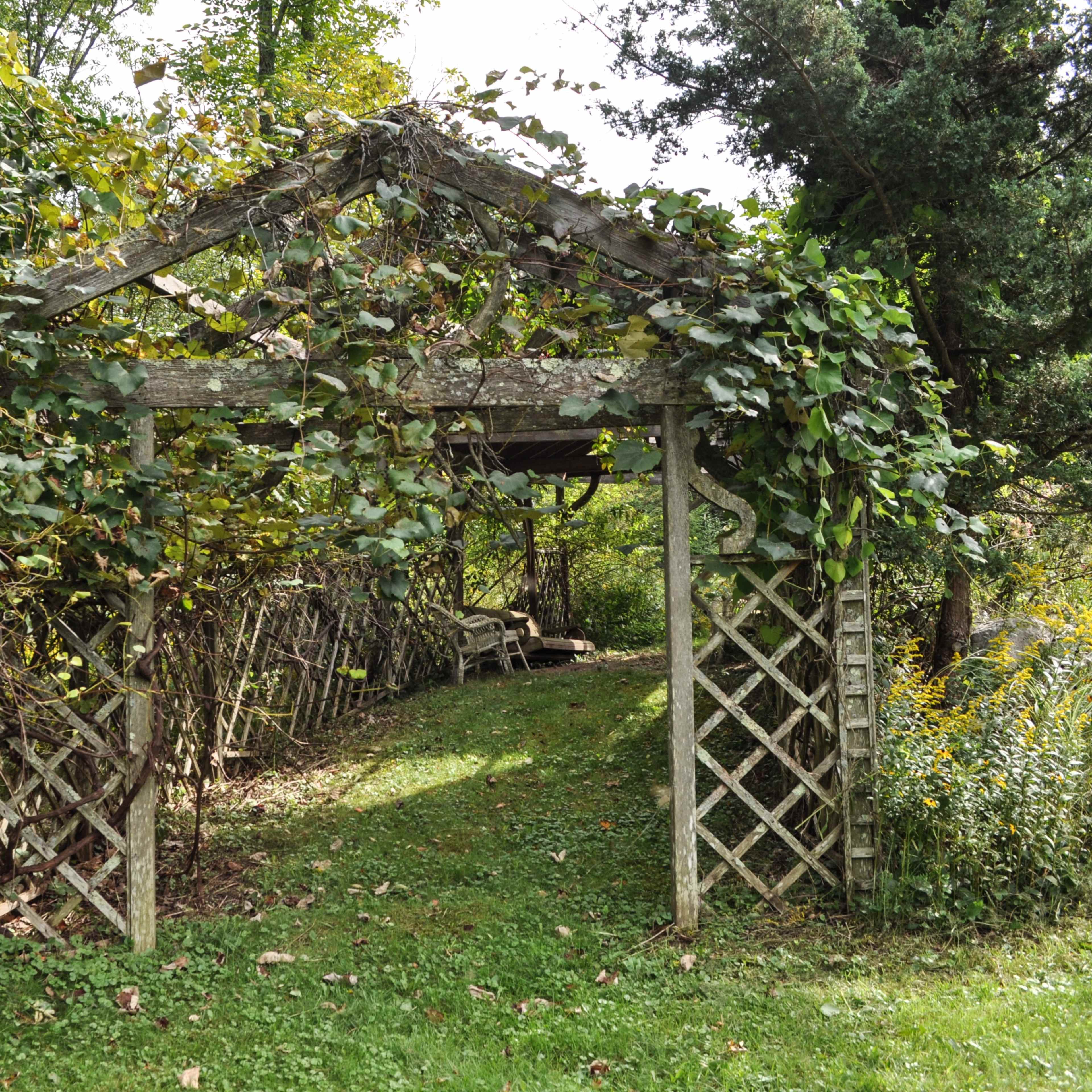 An overgrown wooden arbor covered with climbing vines leads into a shaded garden path.