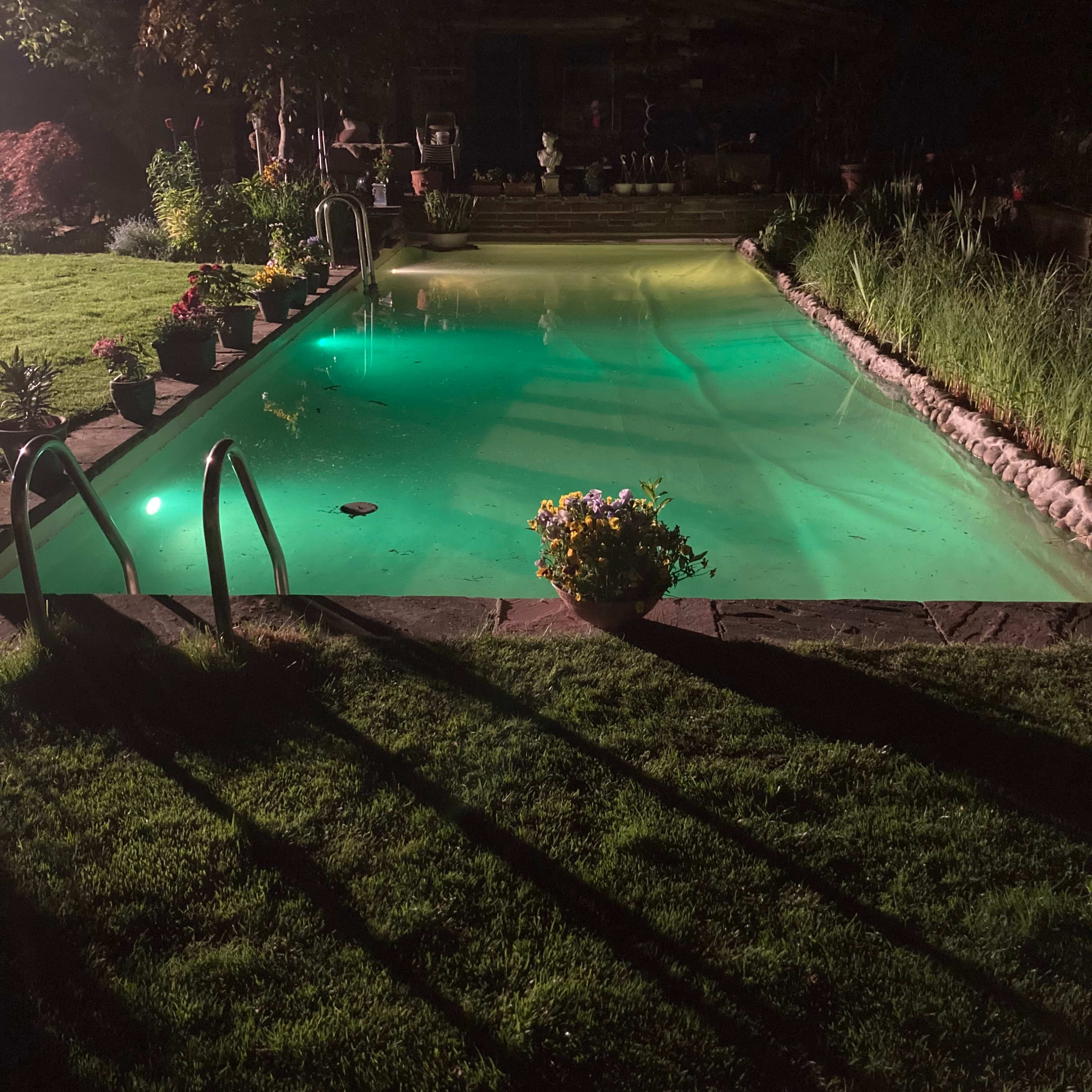 A swimming pool at night, with green-tinted water and potted plants along its edges.