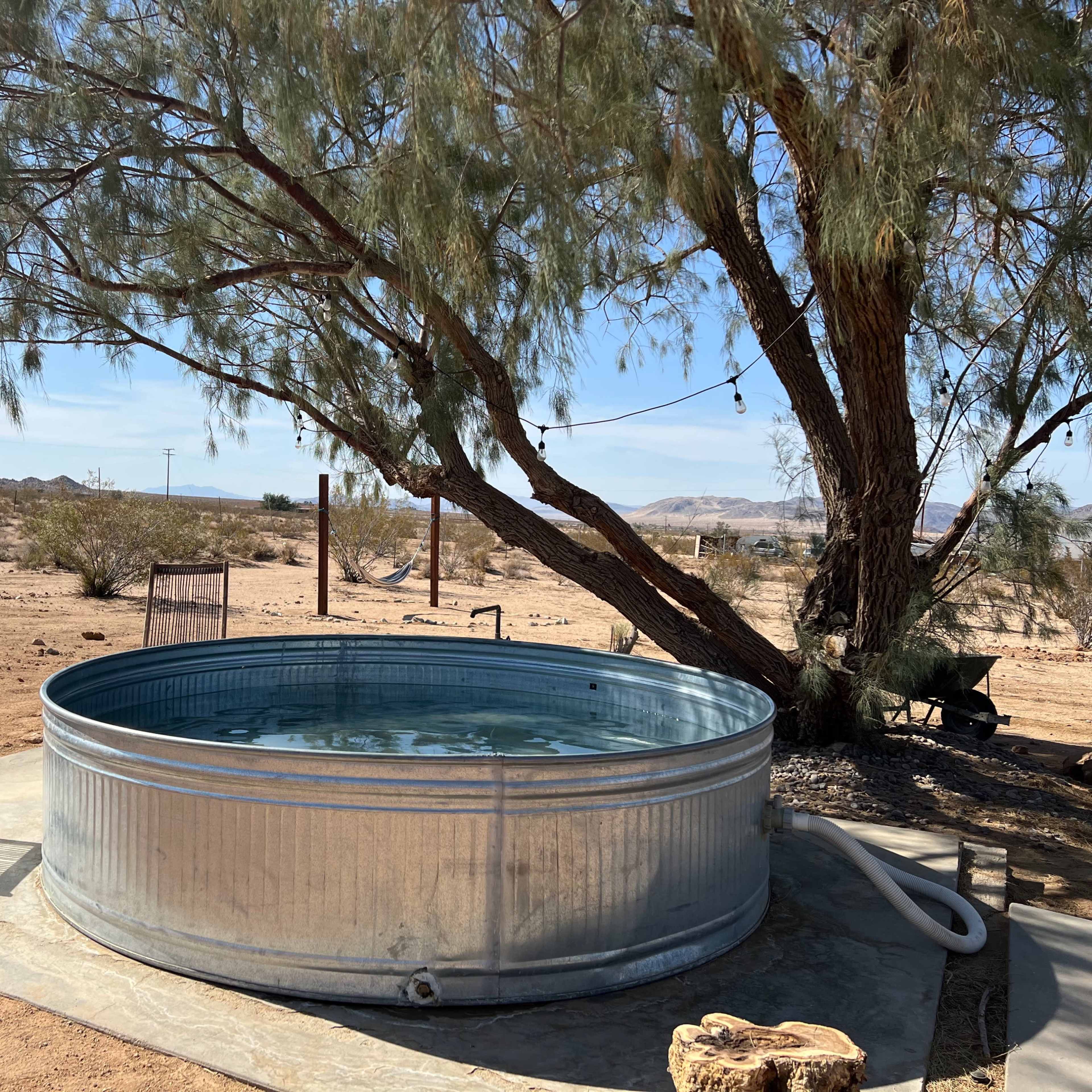 A metal water trough serves as a swimming pool beside a wooden lounge chair under a tree in a desert landscape.