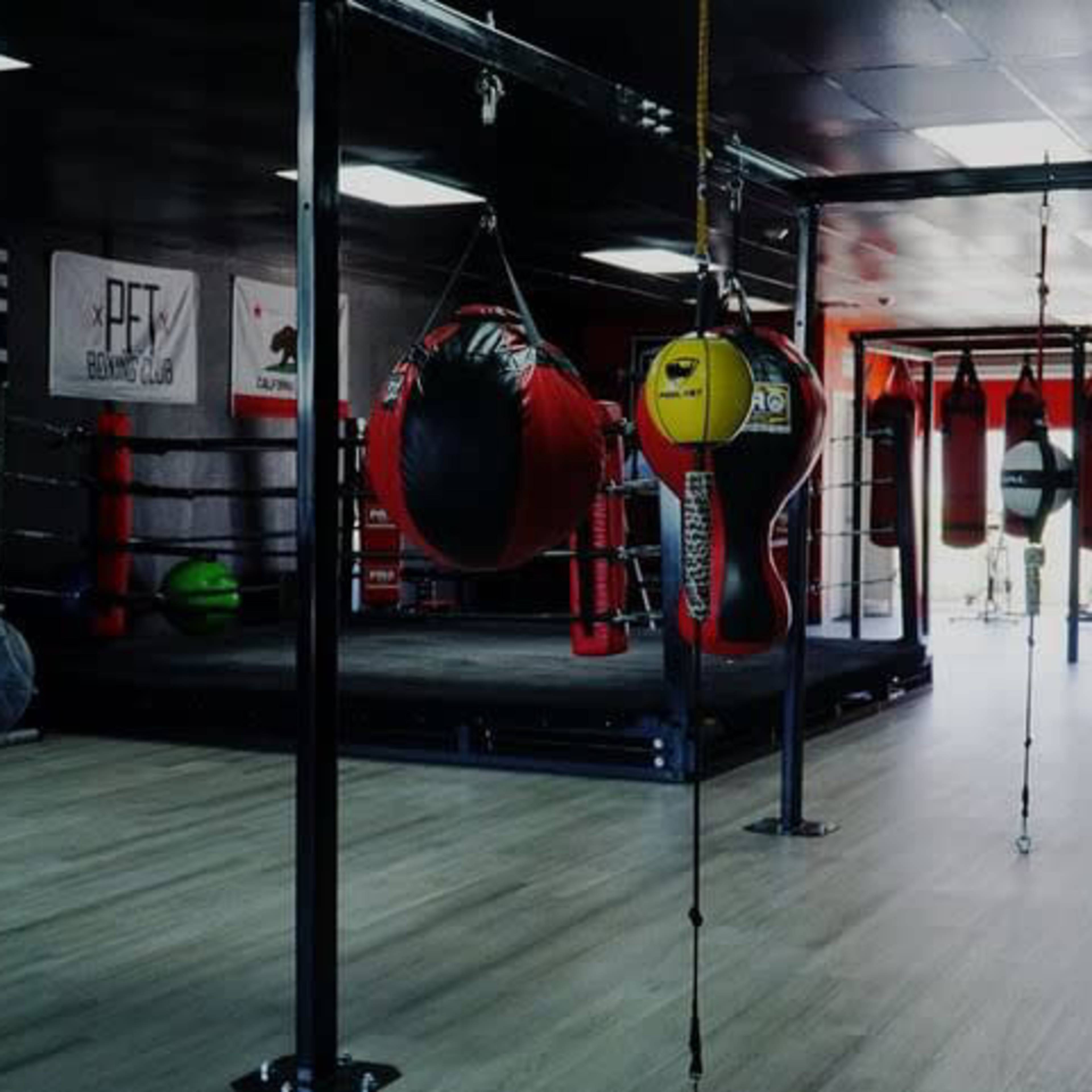 A boxing gym with various punching bags hanging from the ceiling and a boxing ring in the background, along with gym equipment on the floor.