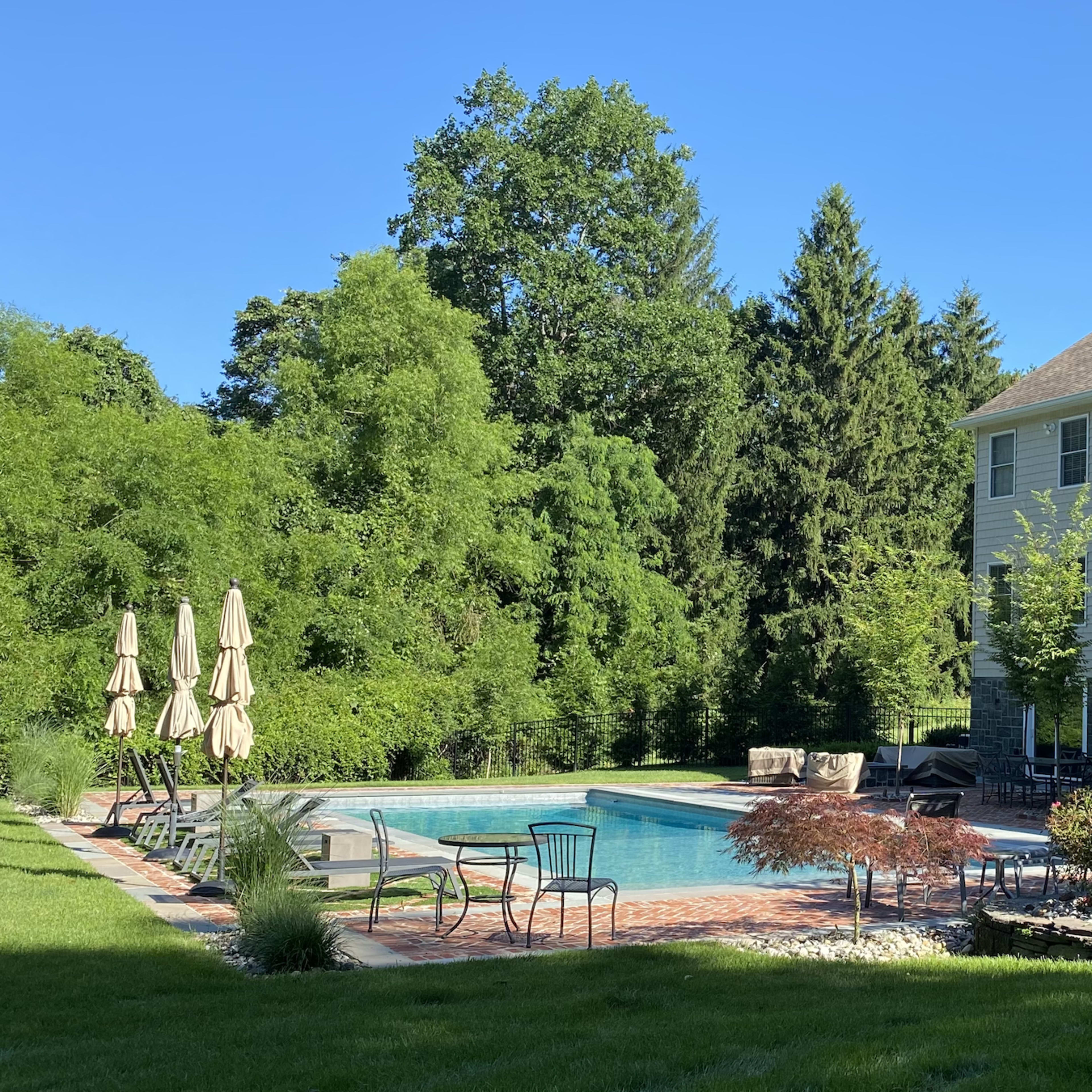 A residential backyard with a swimming pool, surrounded by green trees and patio furniture.