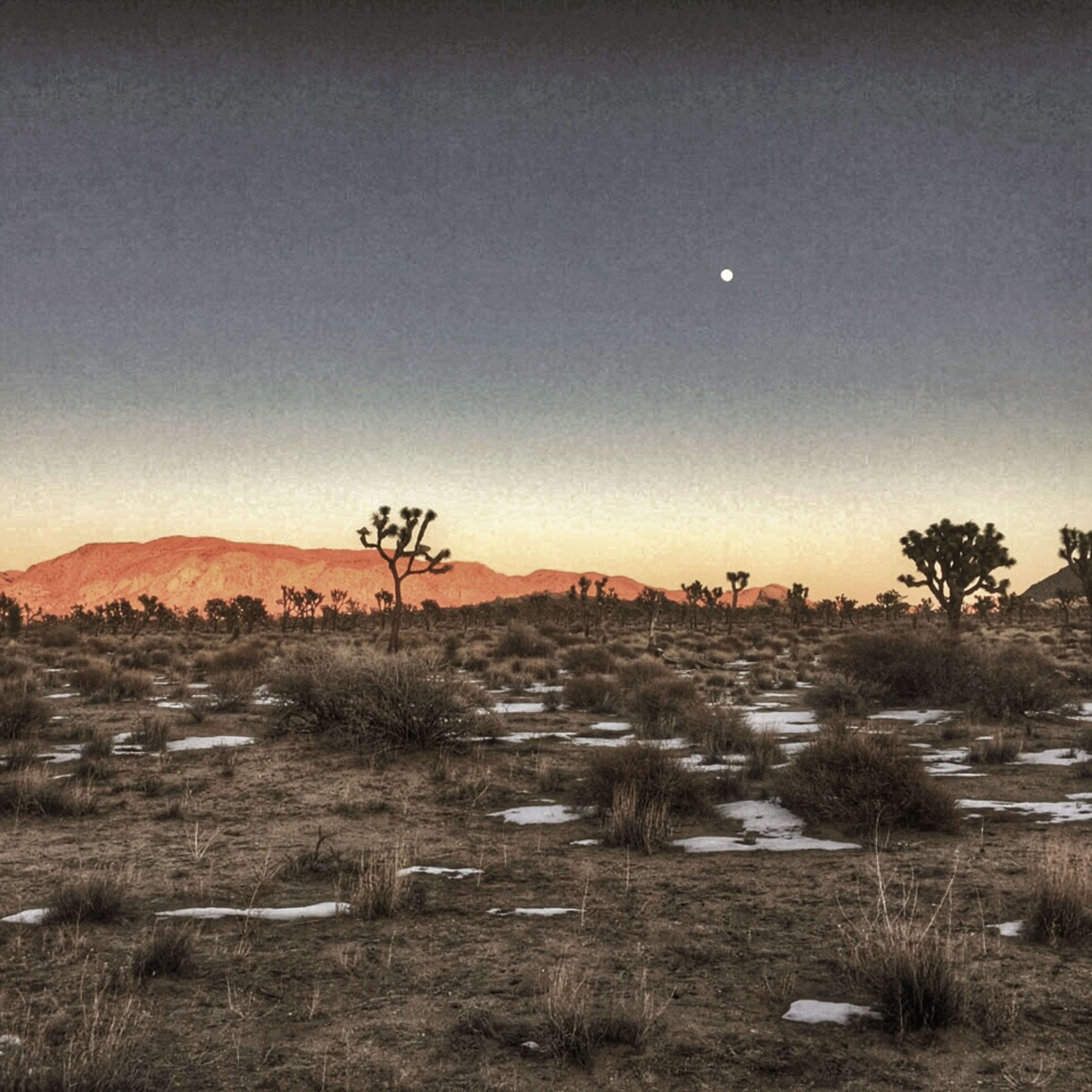A barren landscape with Joshua trees and sparse vegetation under a twilight sky featuring a visible moon and distant mountains.