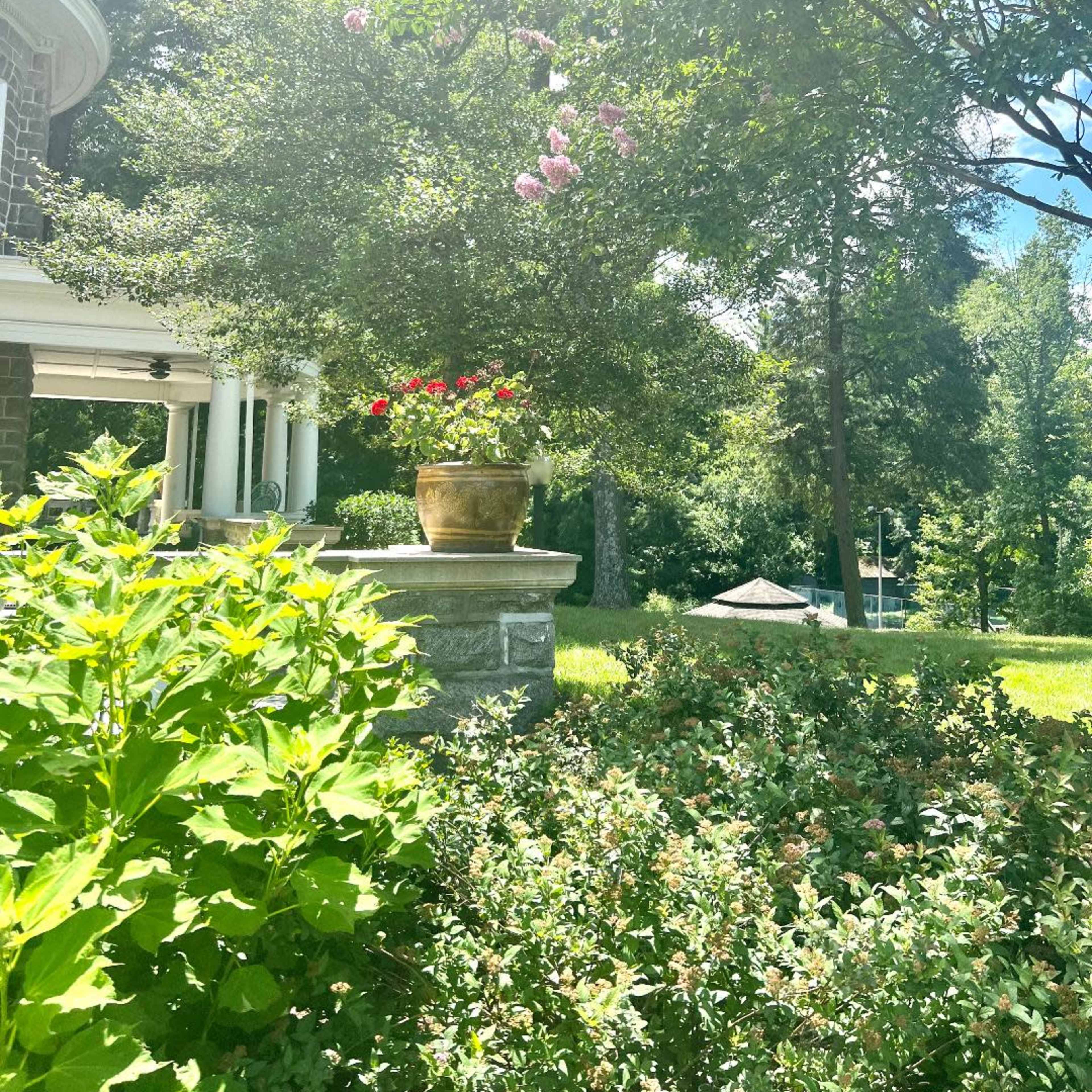A large planter with pink flowers sits next to a stone wall, surrounded by green bushes and trees under a bright sky.