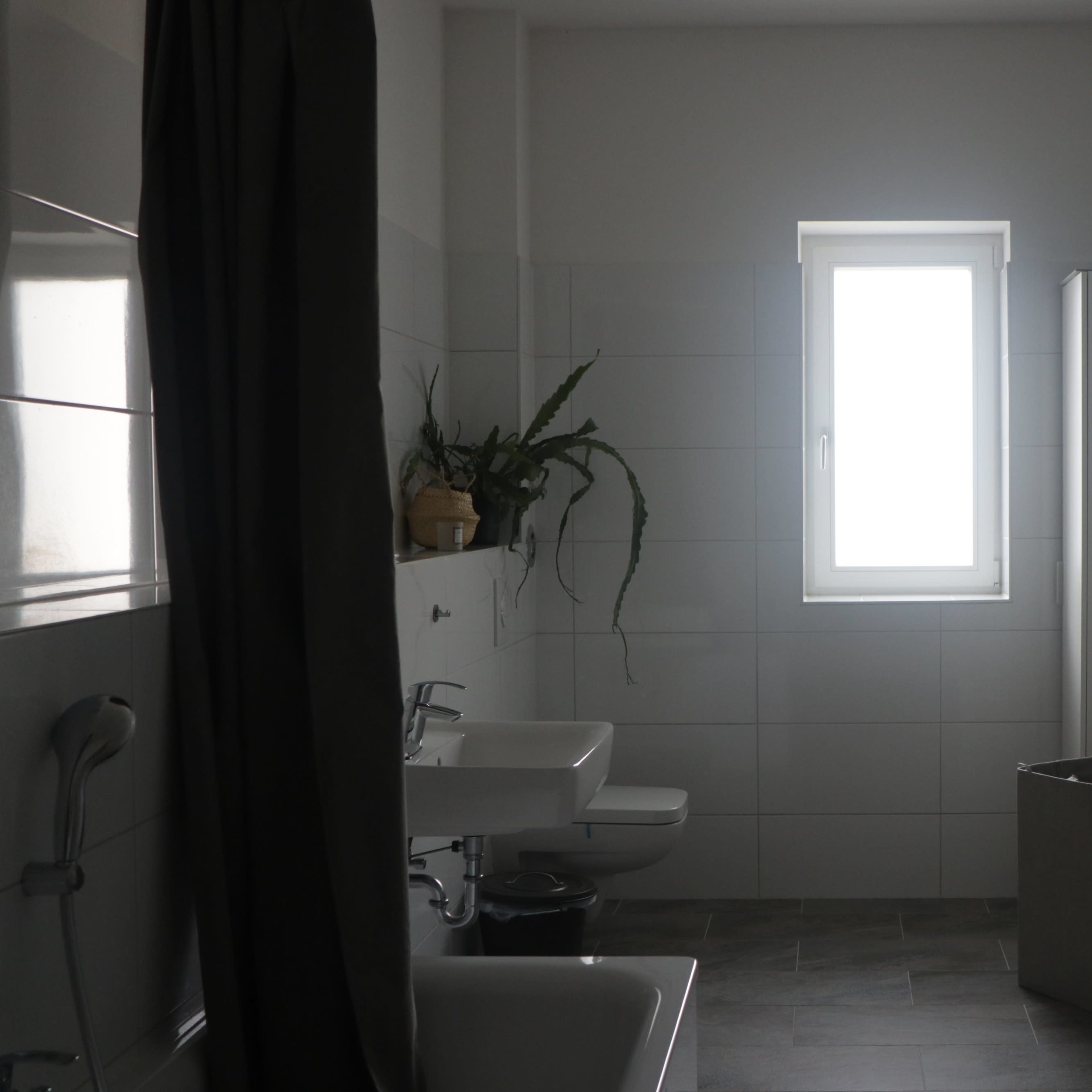 A modern bathroom features a bathtub, two sinks, a towel radiator, a window, and a plant in the corner.