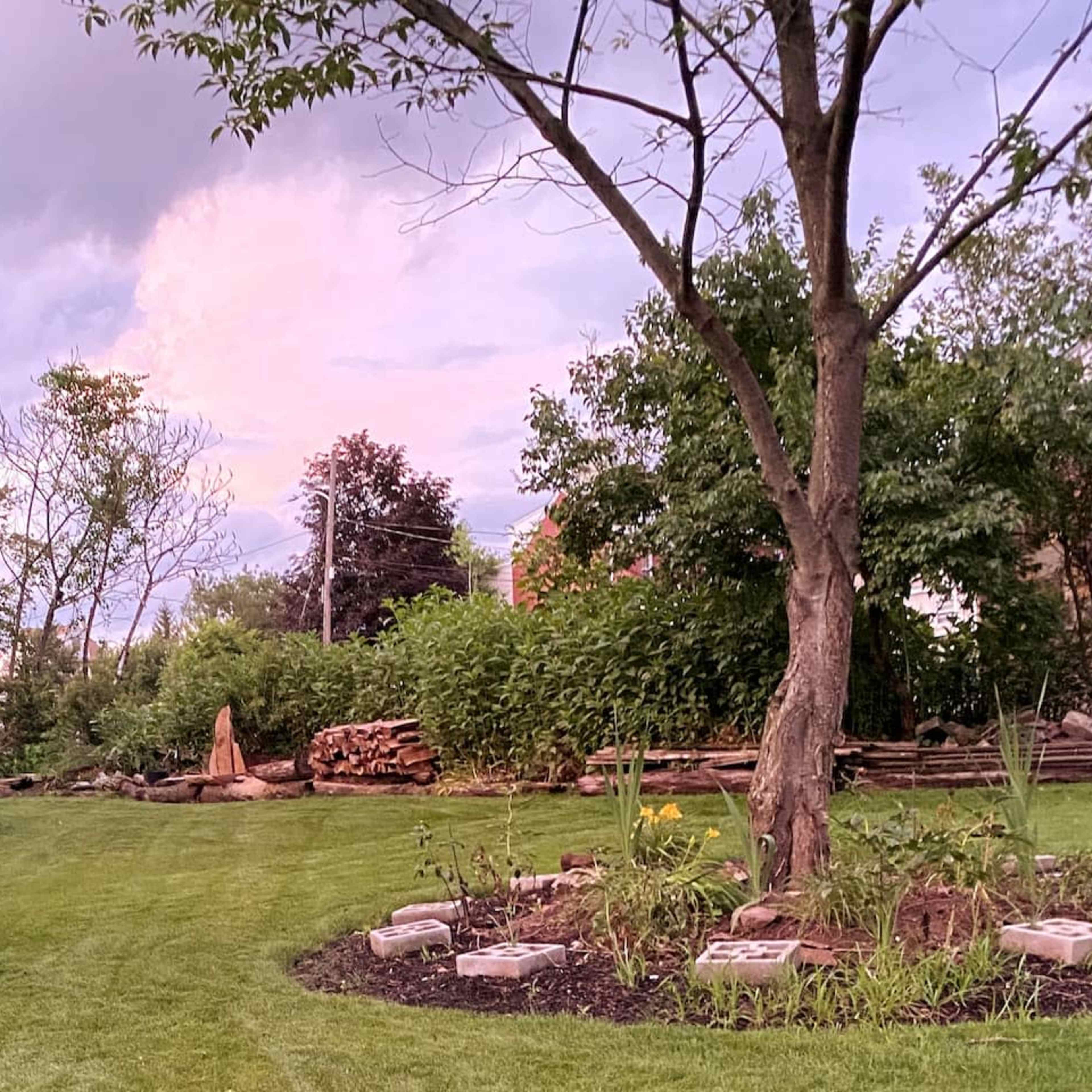 A landscaped garden with a neatly mowed lawn, trees, and stone features, framed by wooden logs in the background.