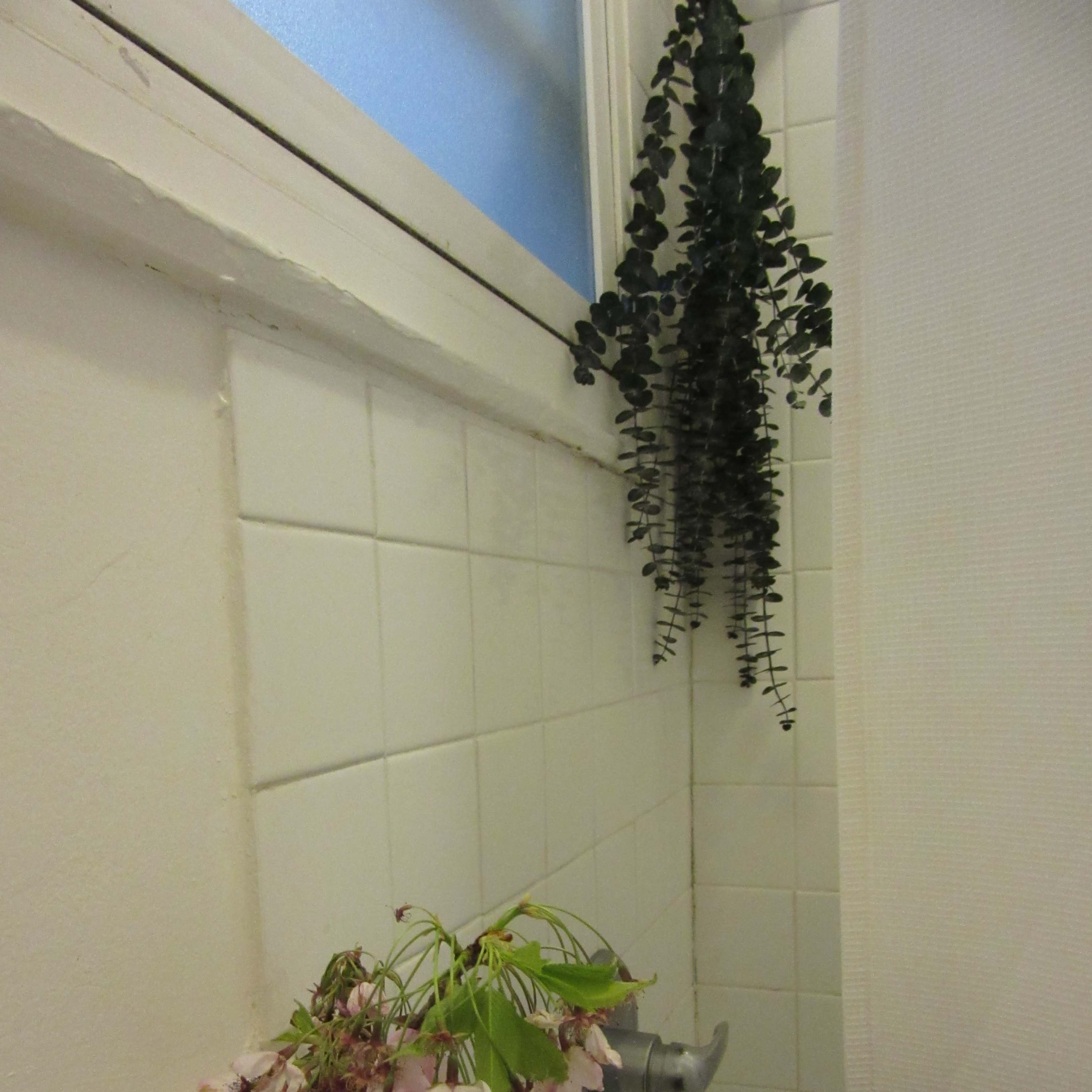 A glass vase with pink flowers sits on a sink next to a hanging plant in a bathroom.