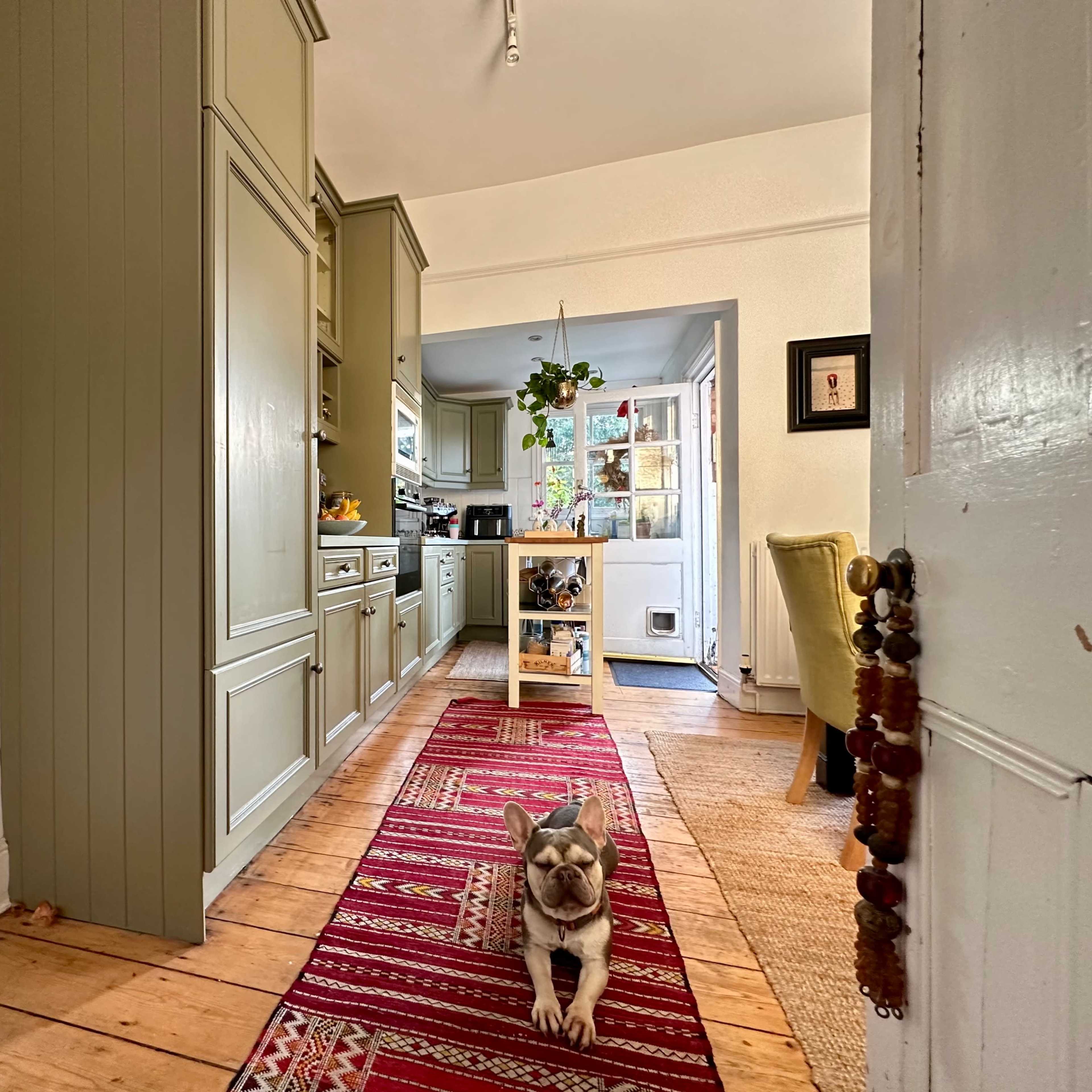 A French Bulldog walks down a hallway featuring a patterned runner rug, with kitchen cabinets and a doorway leading to an adjoining room in the background.