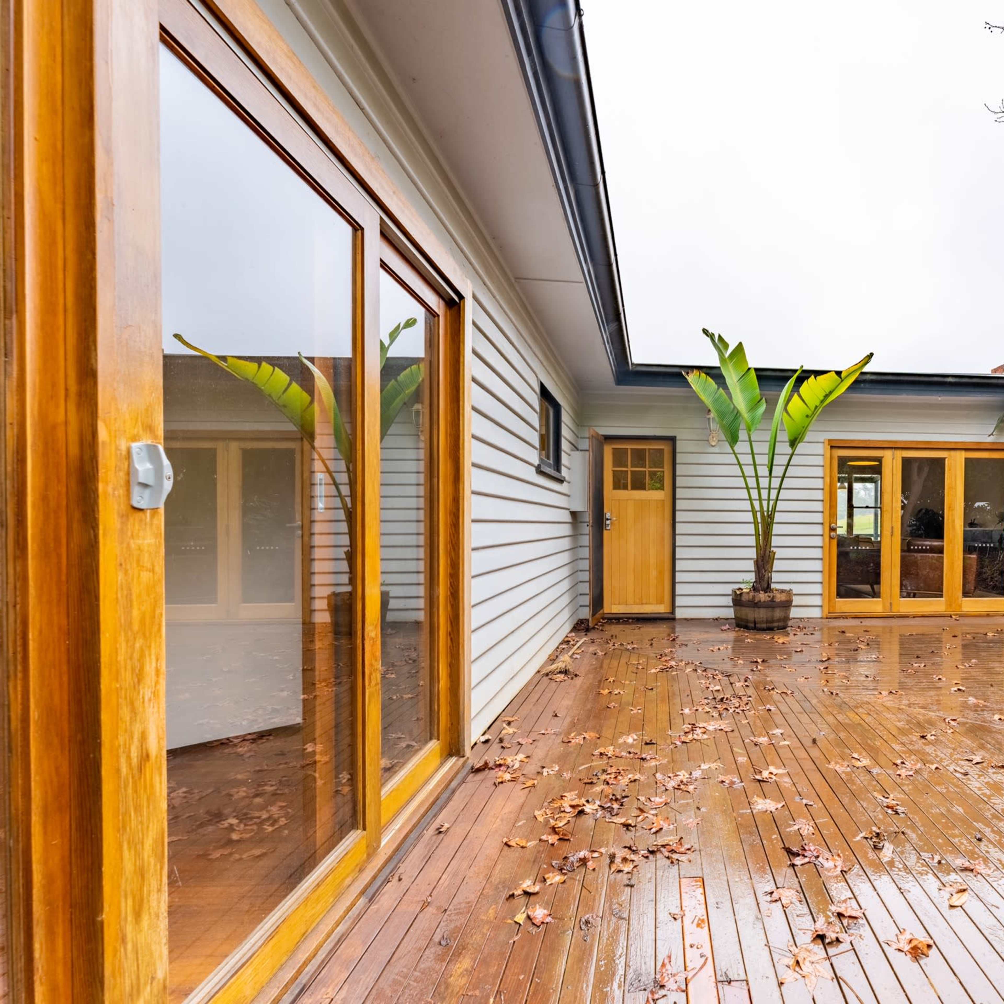 A wooden deck outside a house with large potted plants and some fallen leaves on the wet surface.