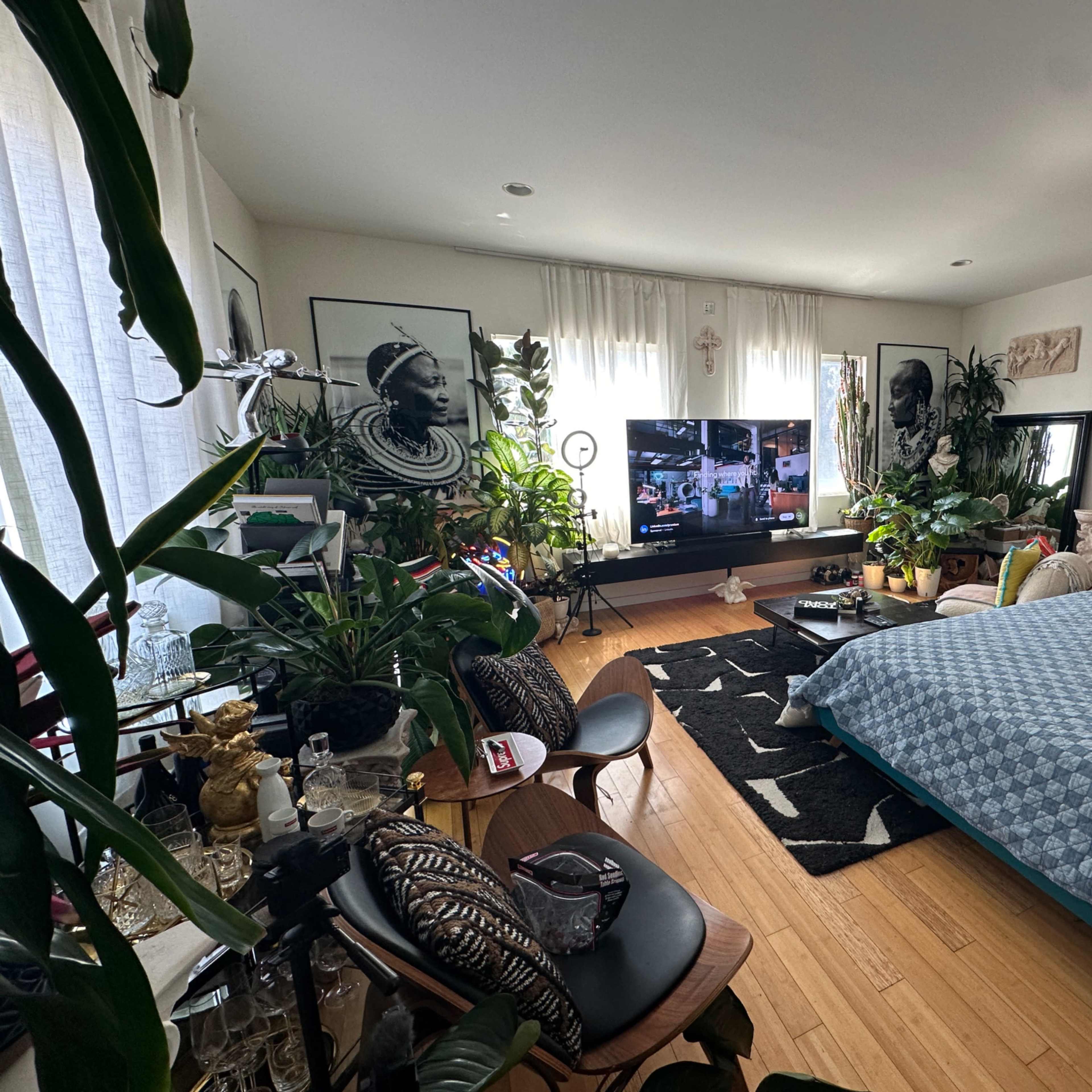 A spacious room filled with various plants, a large television, and a bed, featuring a mix of decorative elements and furniture.