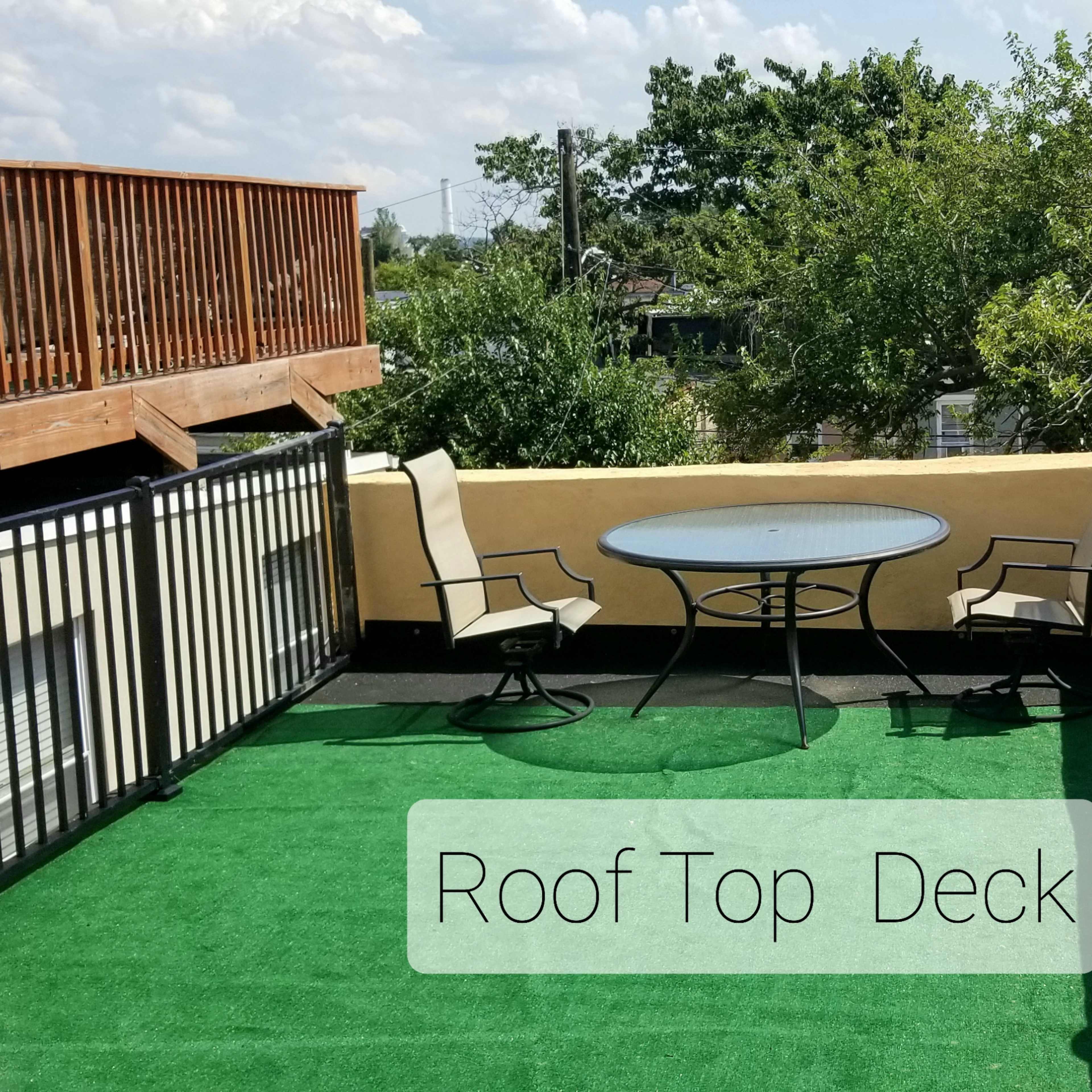 A rooftop deck featuring a circular table and two chairs on a green carpet, with a satellite dish visible in the corner.