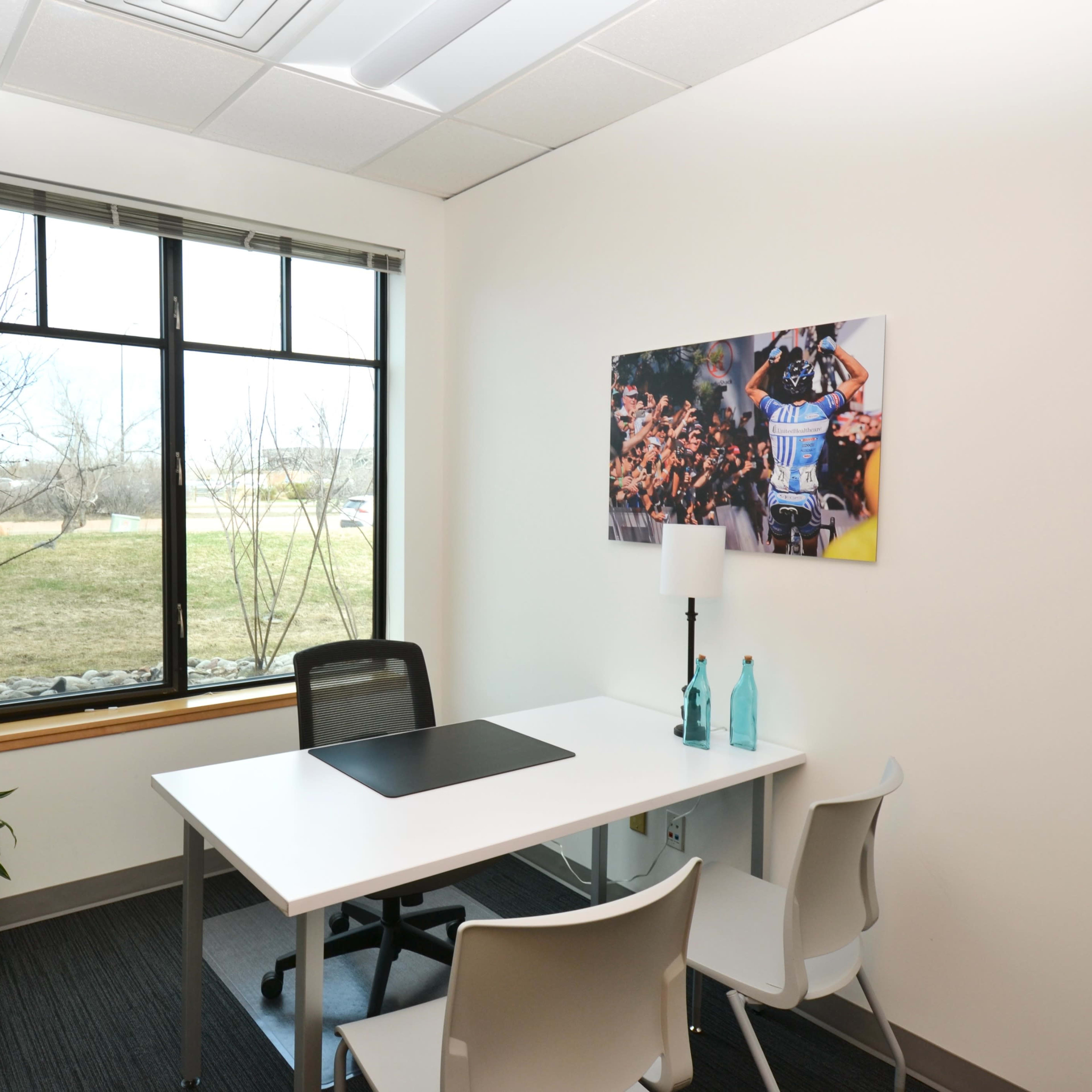 A small office features a desk and chairs positioned near a window with a view of a grassy area outside, accompanied by a photo on the wall.