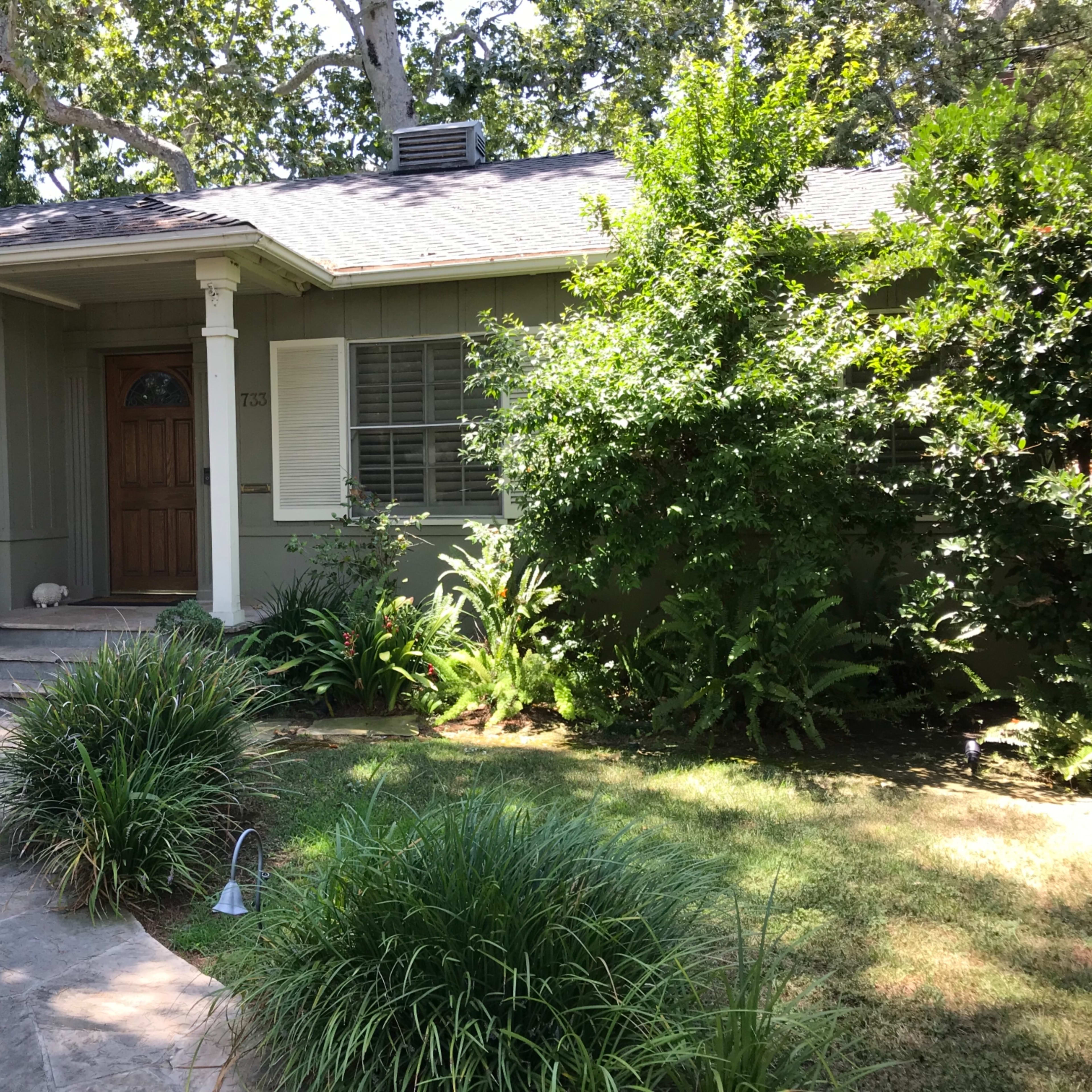 A single-story house with a wooden front door is surrounded by a landscaped garden featuring shrubs and grass.