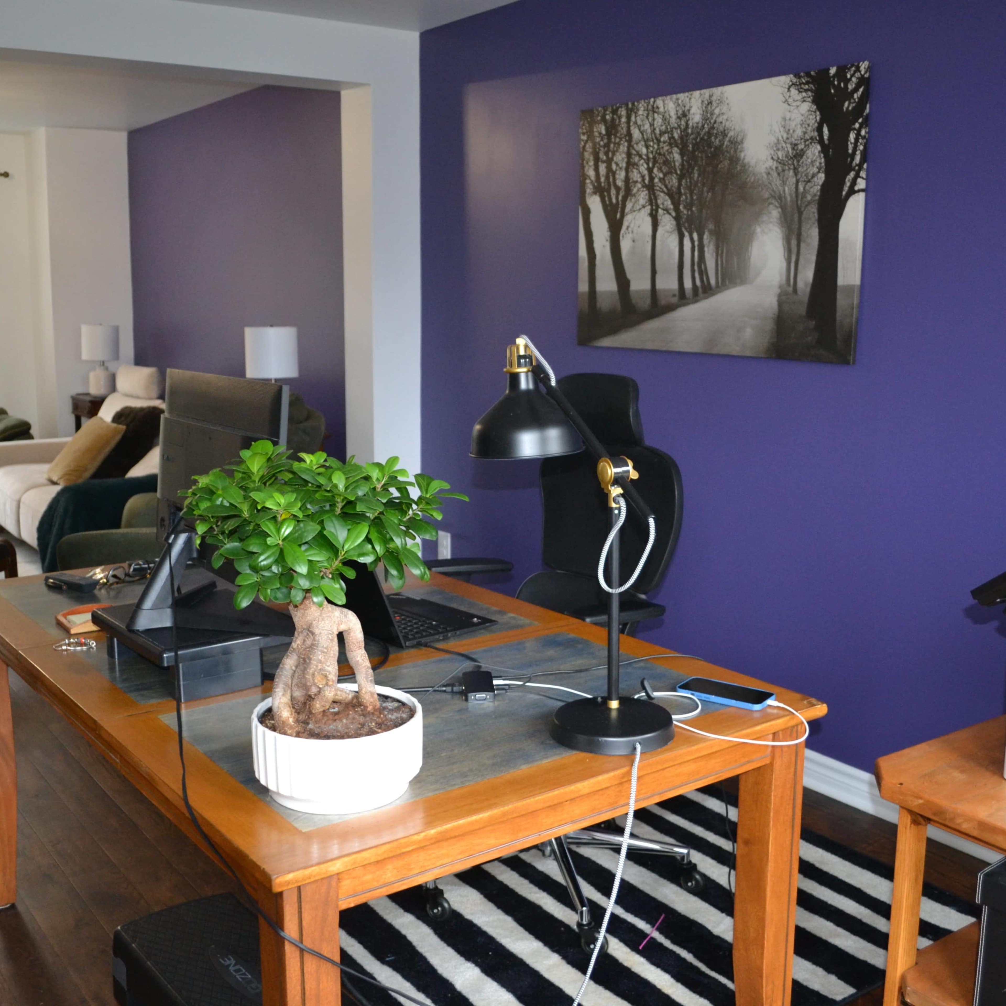 House with recently renovated common spaces Image in Barrie, Barrie, ON