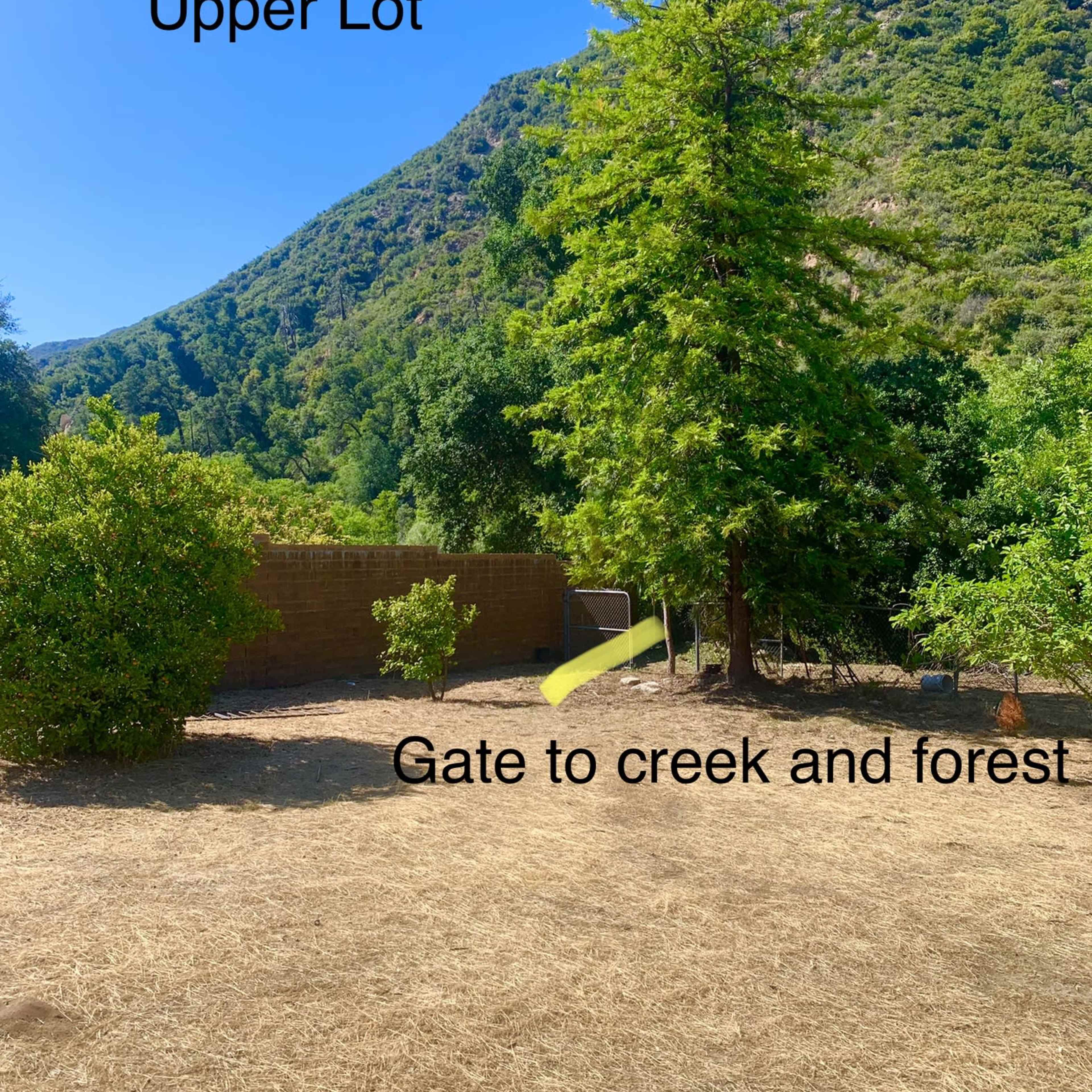 A dry landscape with a large tree and a gate leading to a creek and forest, framed by mountains in the background.
