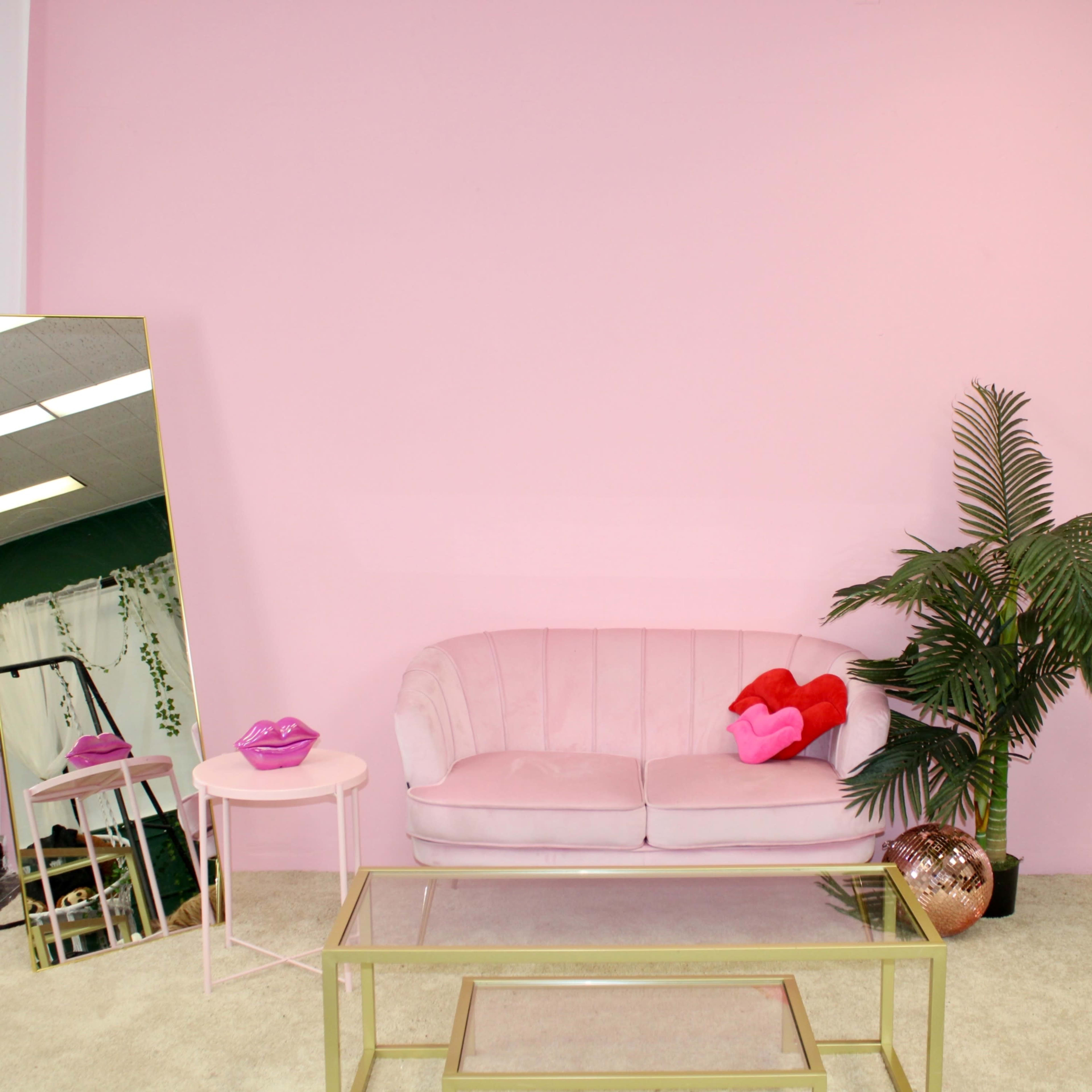 The scene features a pink-walled room with a pink sofa, a small side table, a potted palm plant, and a decorative mirror.