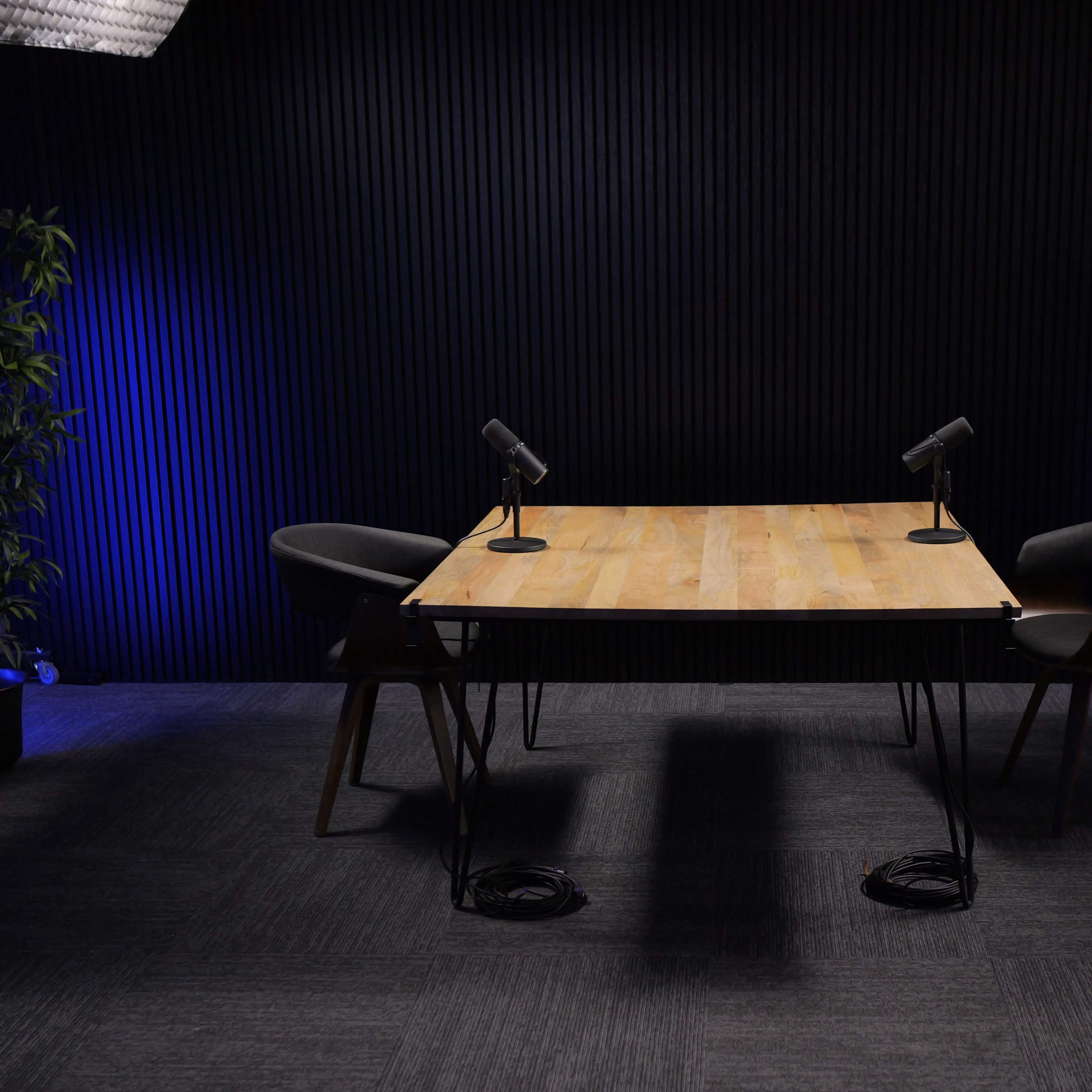 Modern & Sleek Podcast Studio Image in Dobson Ranch, Mesa, AZ