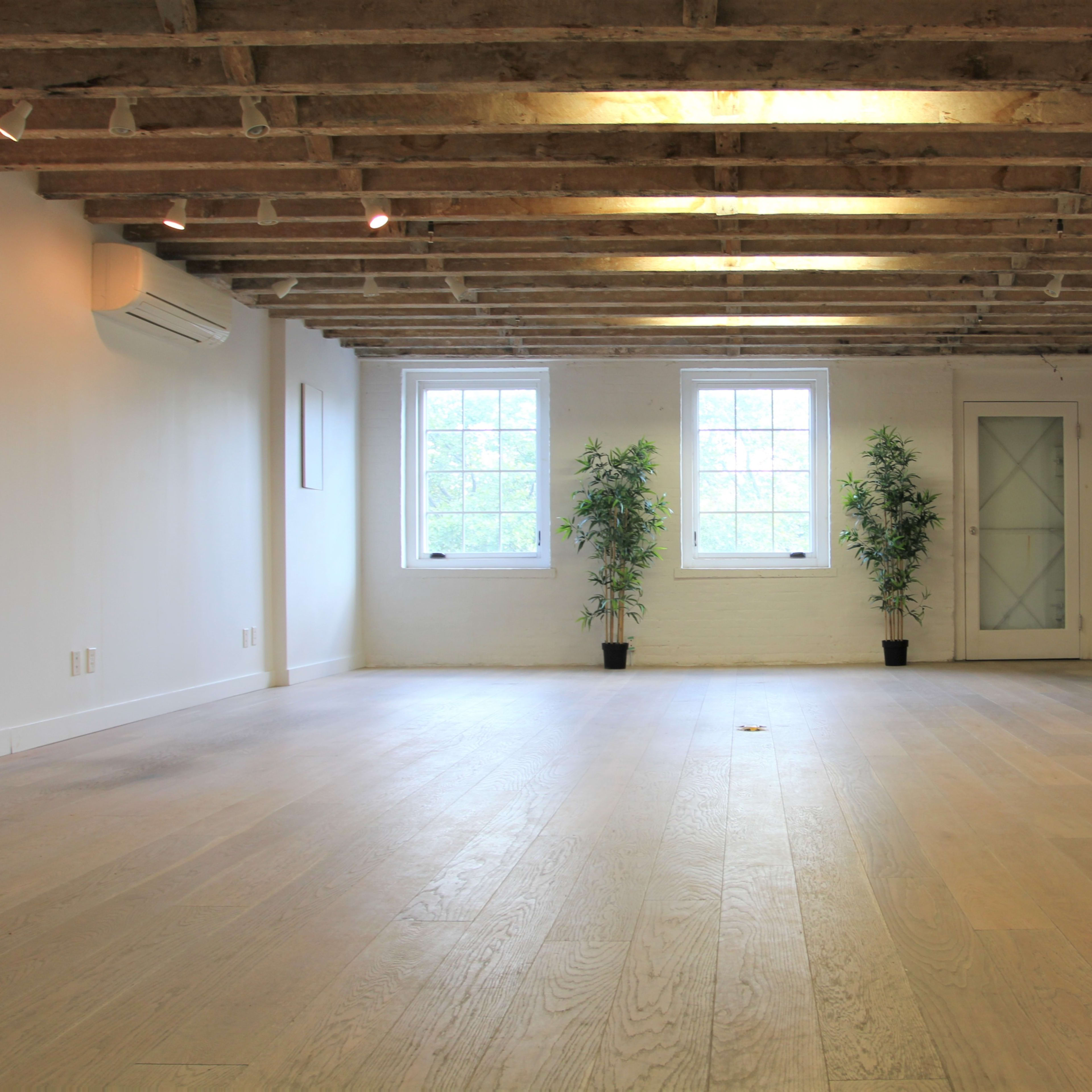 A spacious room with wooden beams overhead, two windows, and potted plants in the corners.