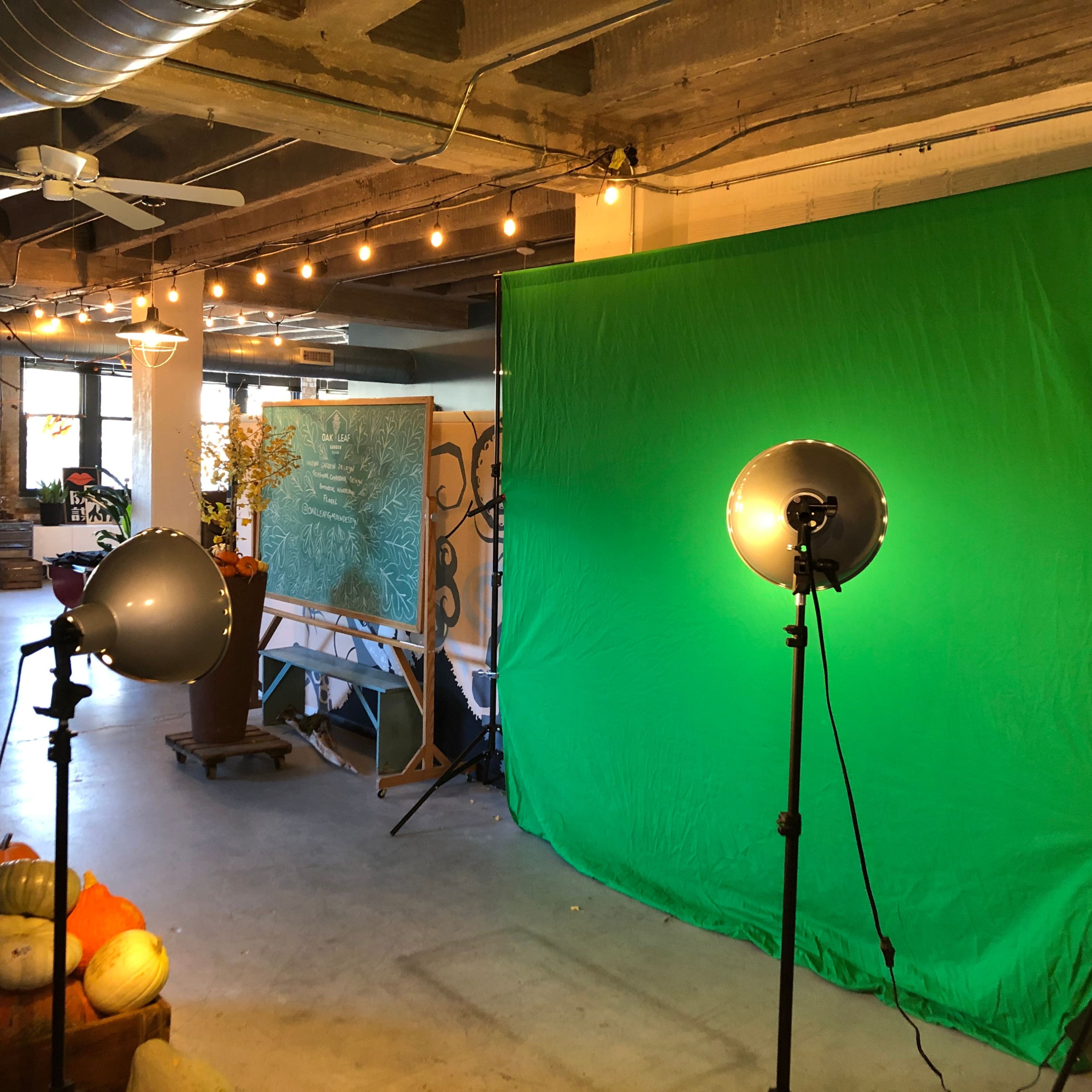 The scene features a well-lit studio space with a green screen setup, accompanied by two softbox lights and various decorative plants in the background.