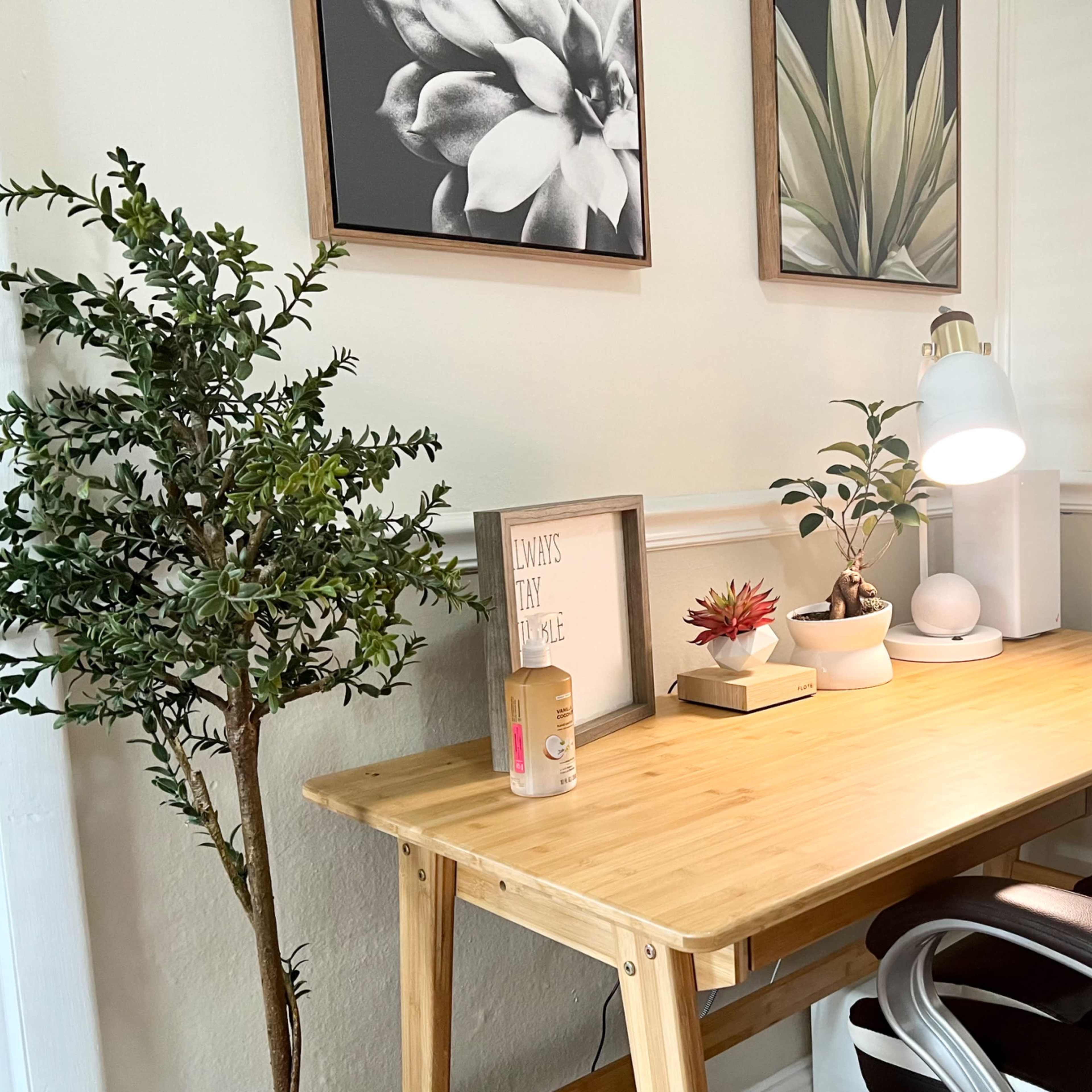 A minimalist wooden desk is adorned with potted plants, a lamp, and framed botanical artwork on the wall.
