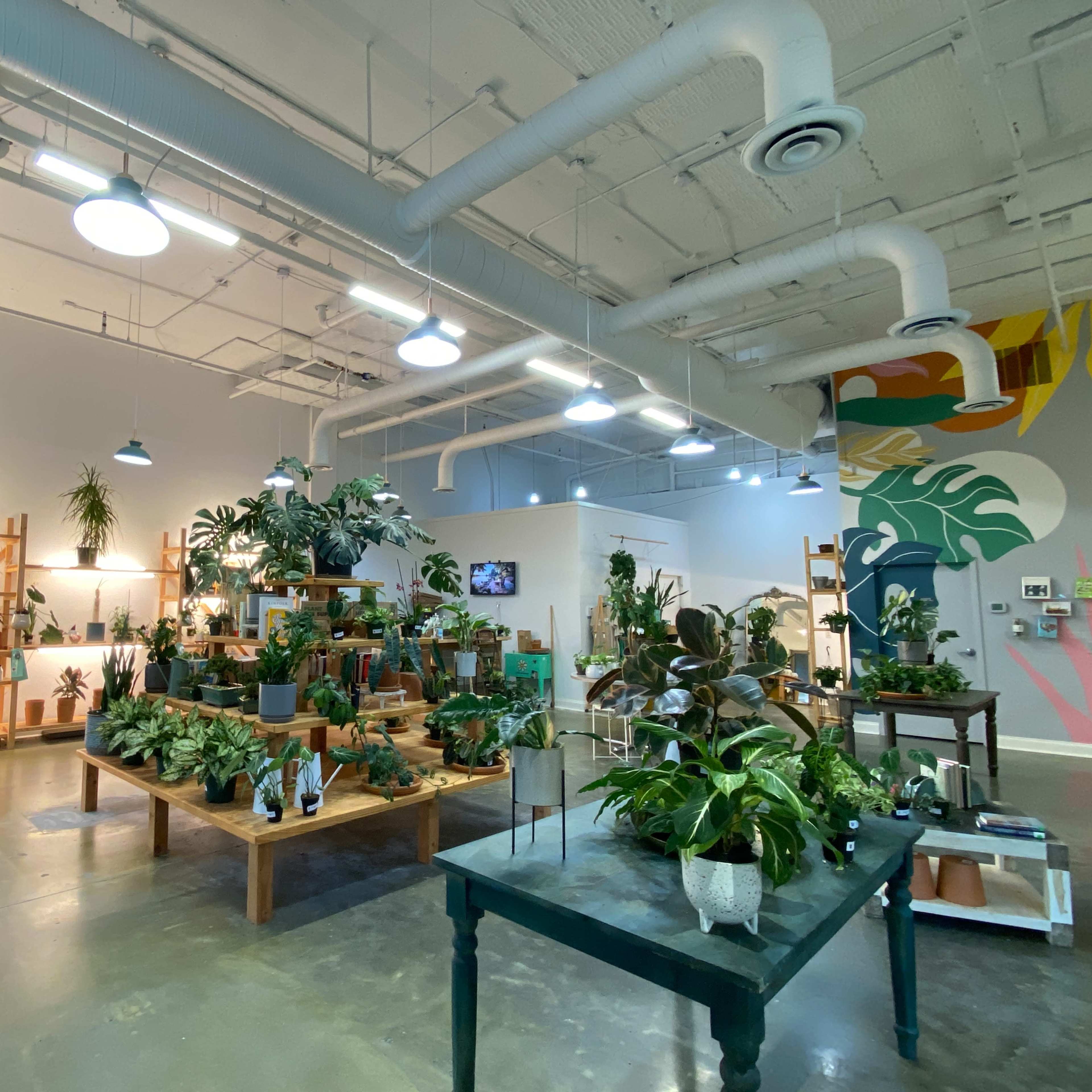 Smyrna/Vinings Charming Houseplant Shop Image in , Smyrna, GA