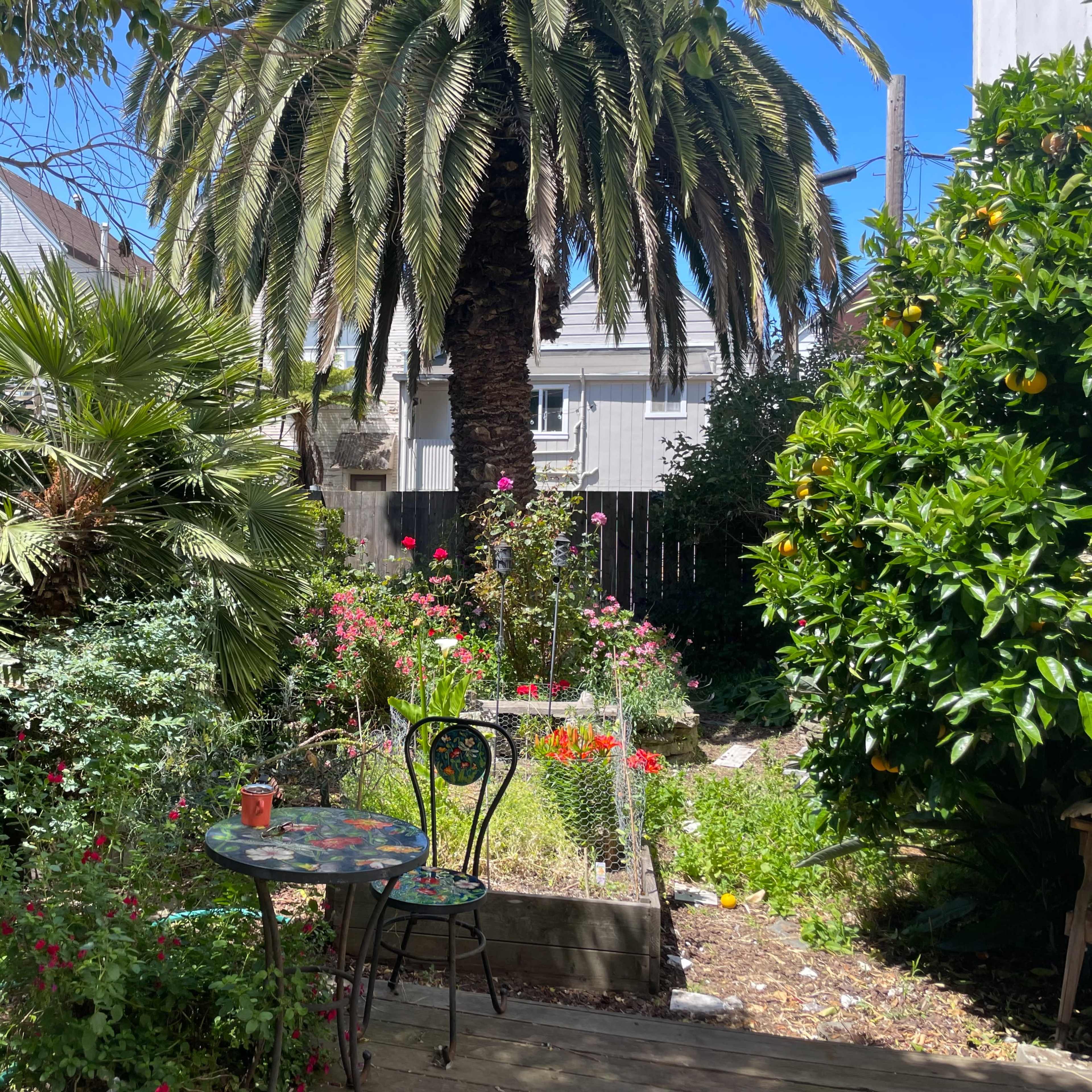 Blossom Oasis: A Lush Backyard Retreat Image in Mission District, San Francisco, CA