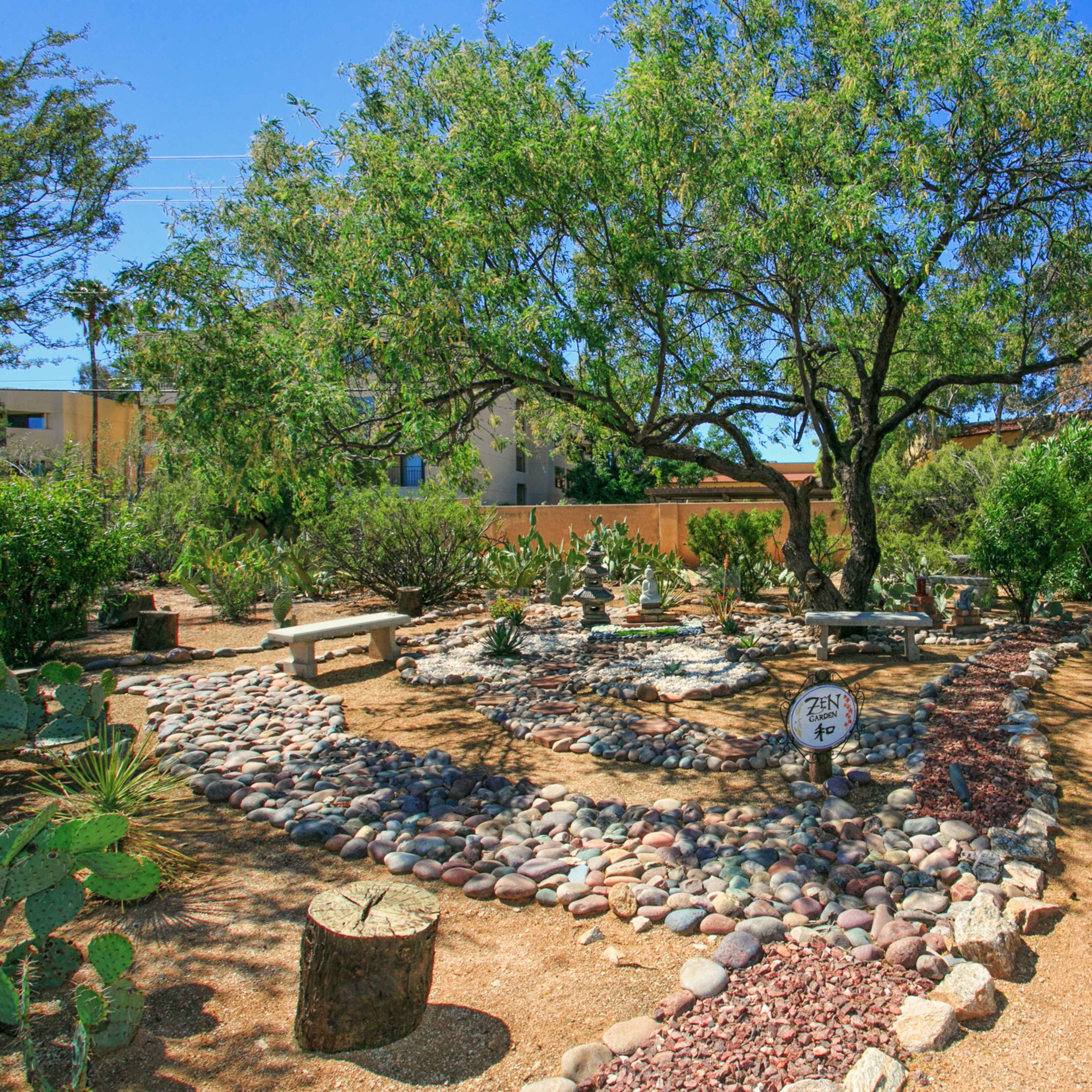 A desert landscape garden featuring a winding path lined with stones, surrounded by various shrubs and cacti under a clear blue sky.