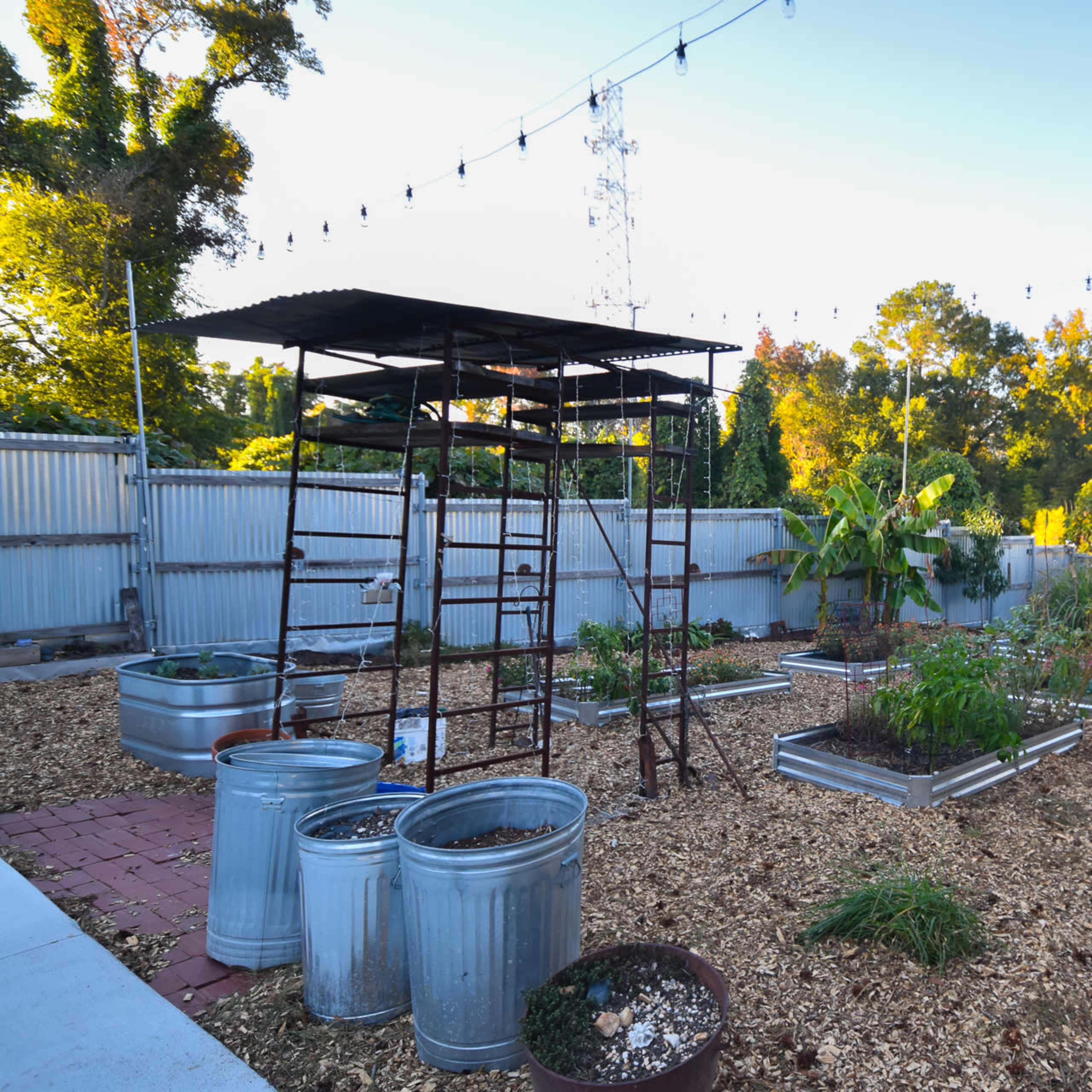 A community garden with raised beds, metal containers, and a trellis structure, surrounded by gravel and wood chips, under a clear sky.