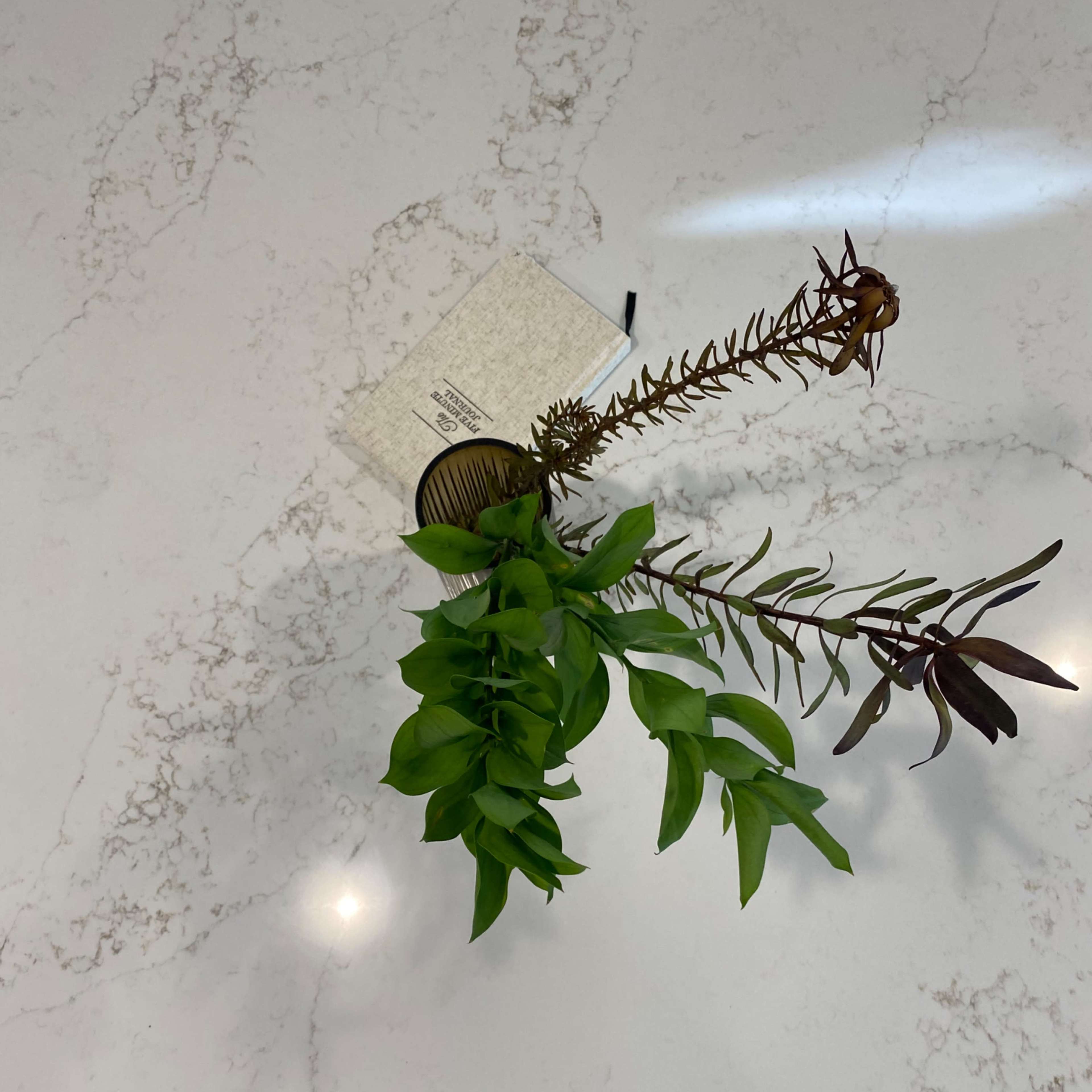 A small arrangement of green plants is positioned on a marble countertop next to a card.