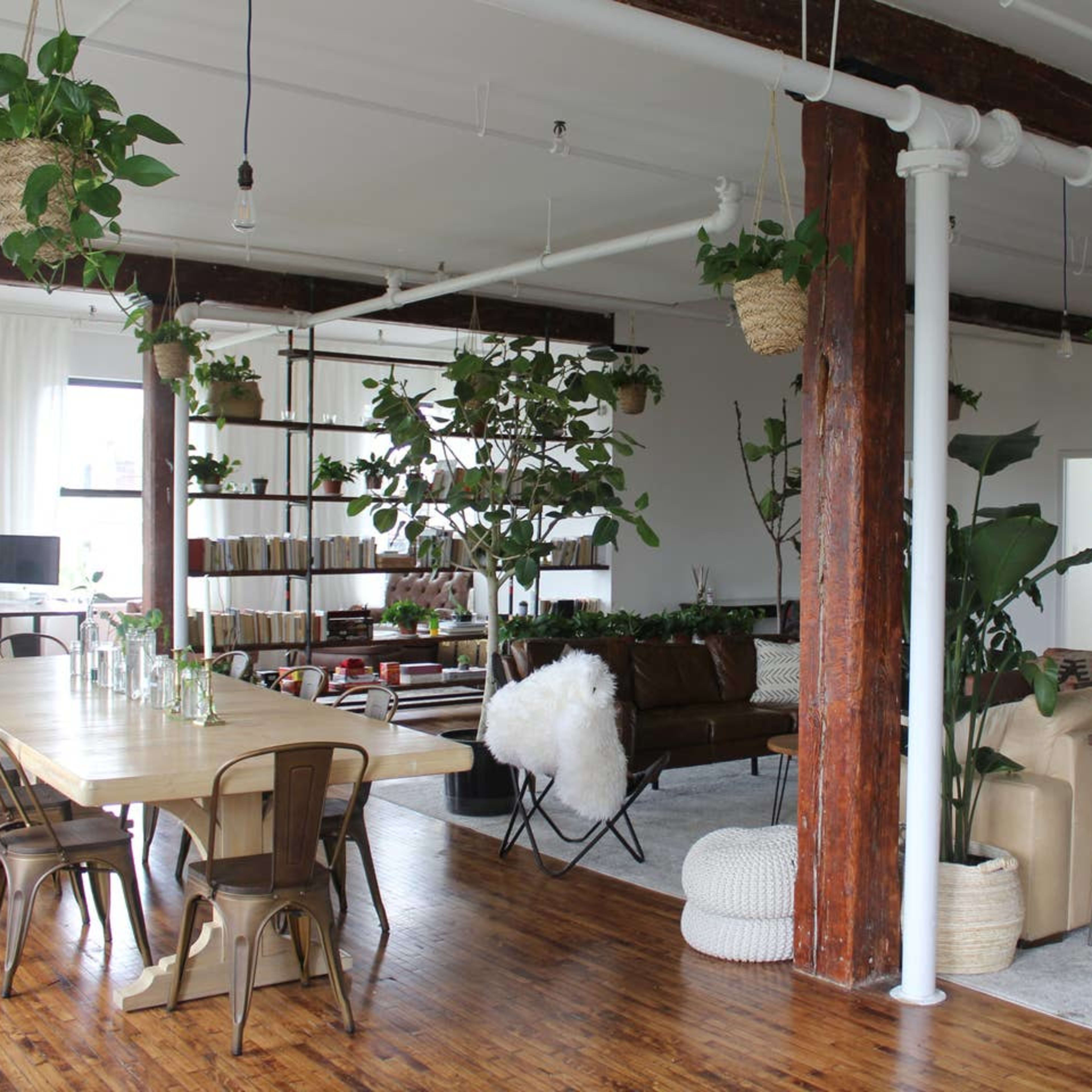 A spacious, modern interior featuring a long wooden dining table, a seating area with plants, and large windows that allow natural light to fill the room.