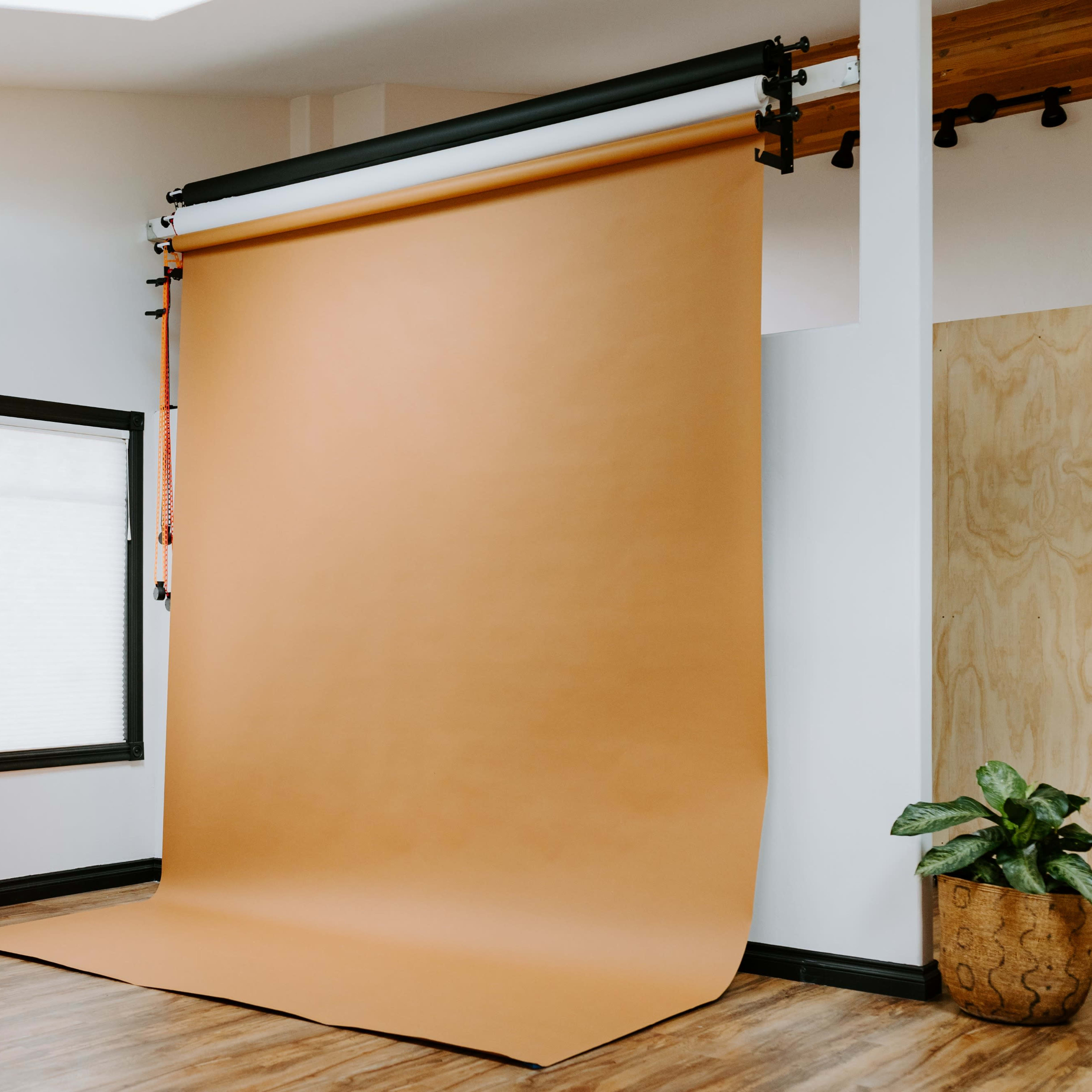 A photo studio with a large tan backdrop, two windows, and a potted plant in the corner.