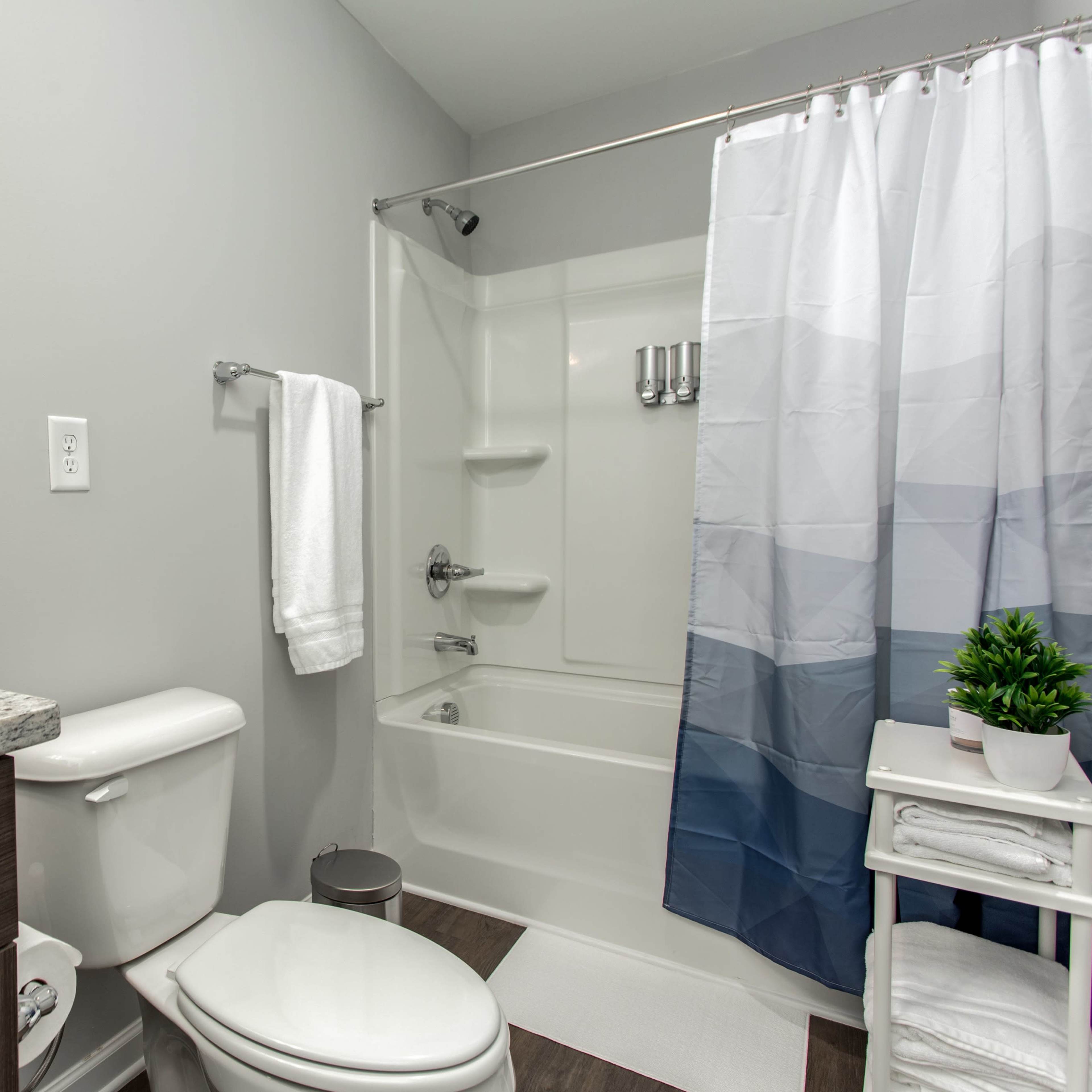 A modern bathroom featuring a shower with a glass door, a toilet, a granite countertop, and decorative elements like a plant and artwork.