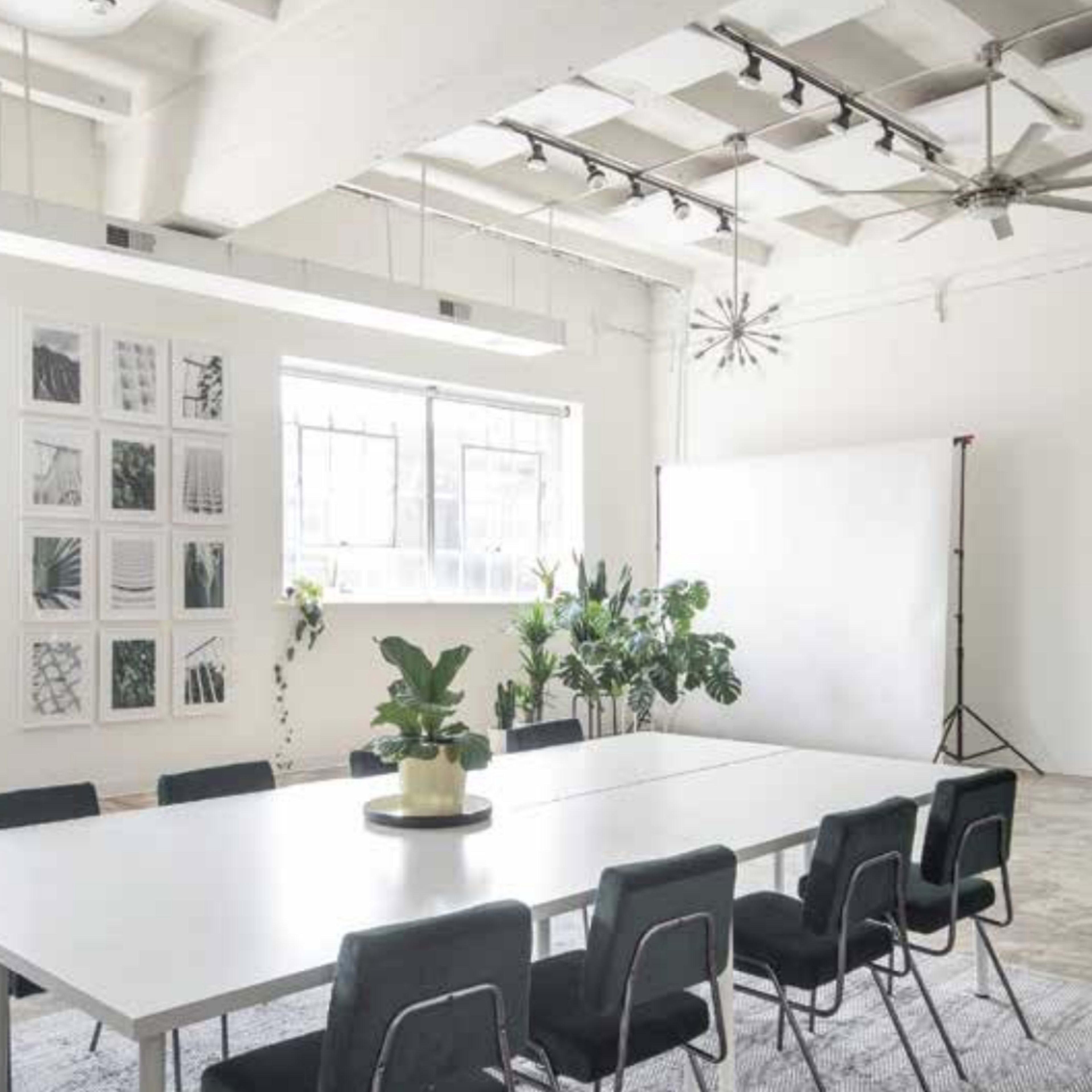 A spacious and well-lit meeting room features a long white table surrounded by black chairs, with plants and framed artwork on the walls.