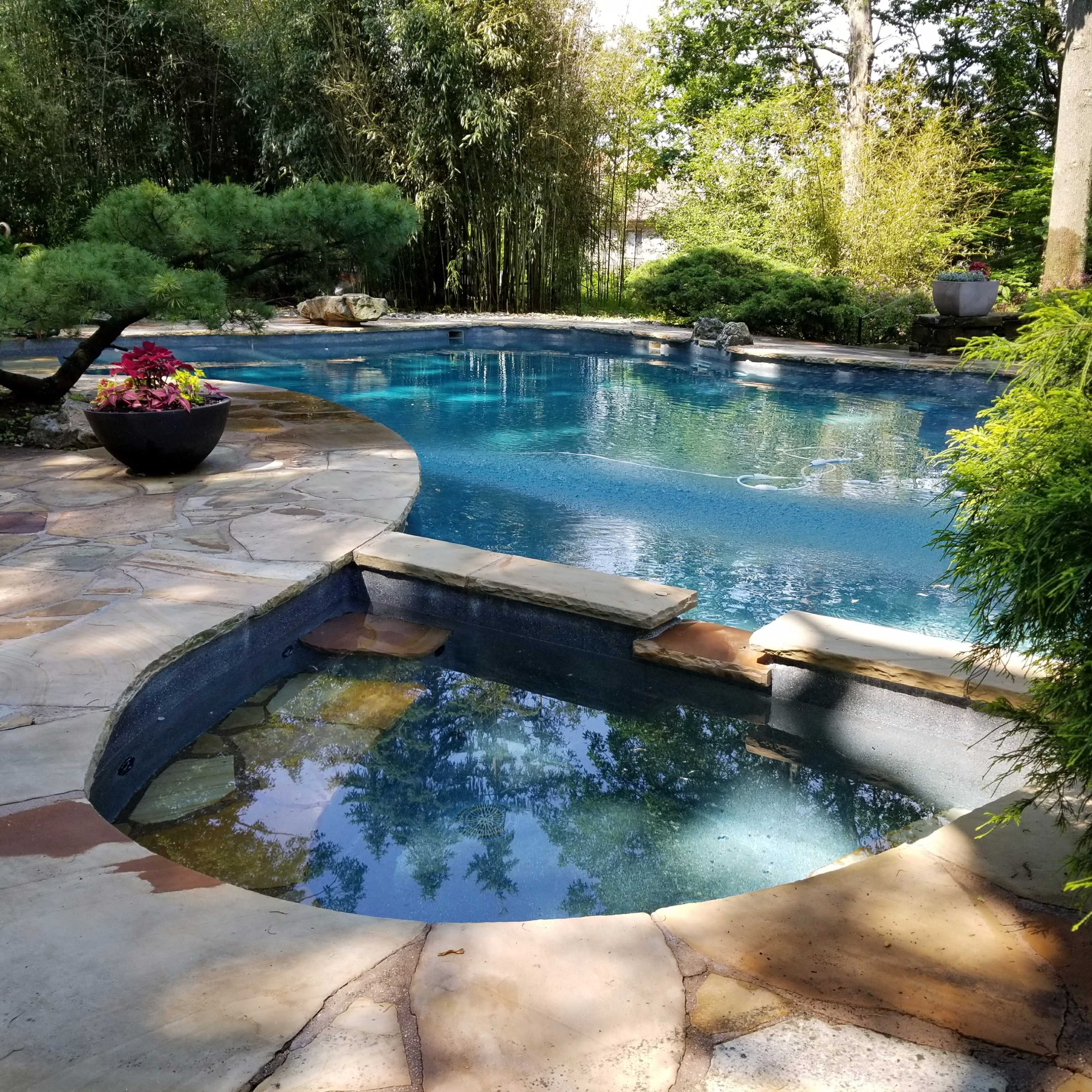 A landscaped pool area with a main swimming pool and a smaller spa, surrounded by stone pathways and green vegetation.