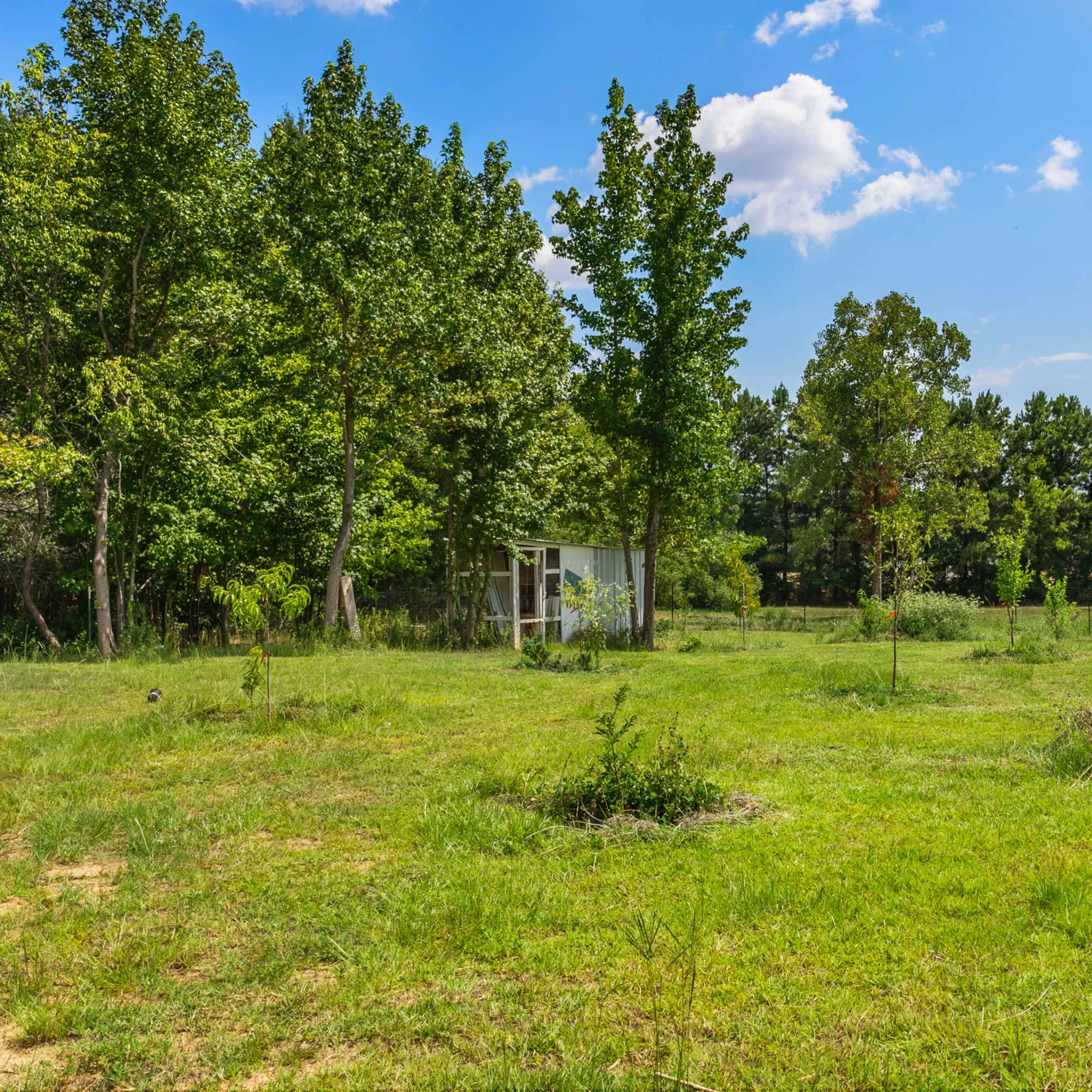 A grassy area surrounded by trees, with a small shed visible in the background under a clear blue sky.