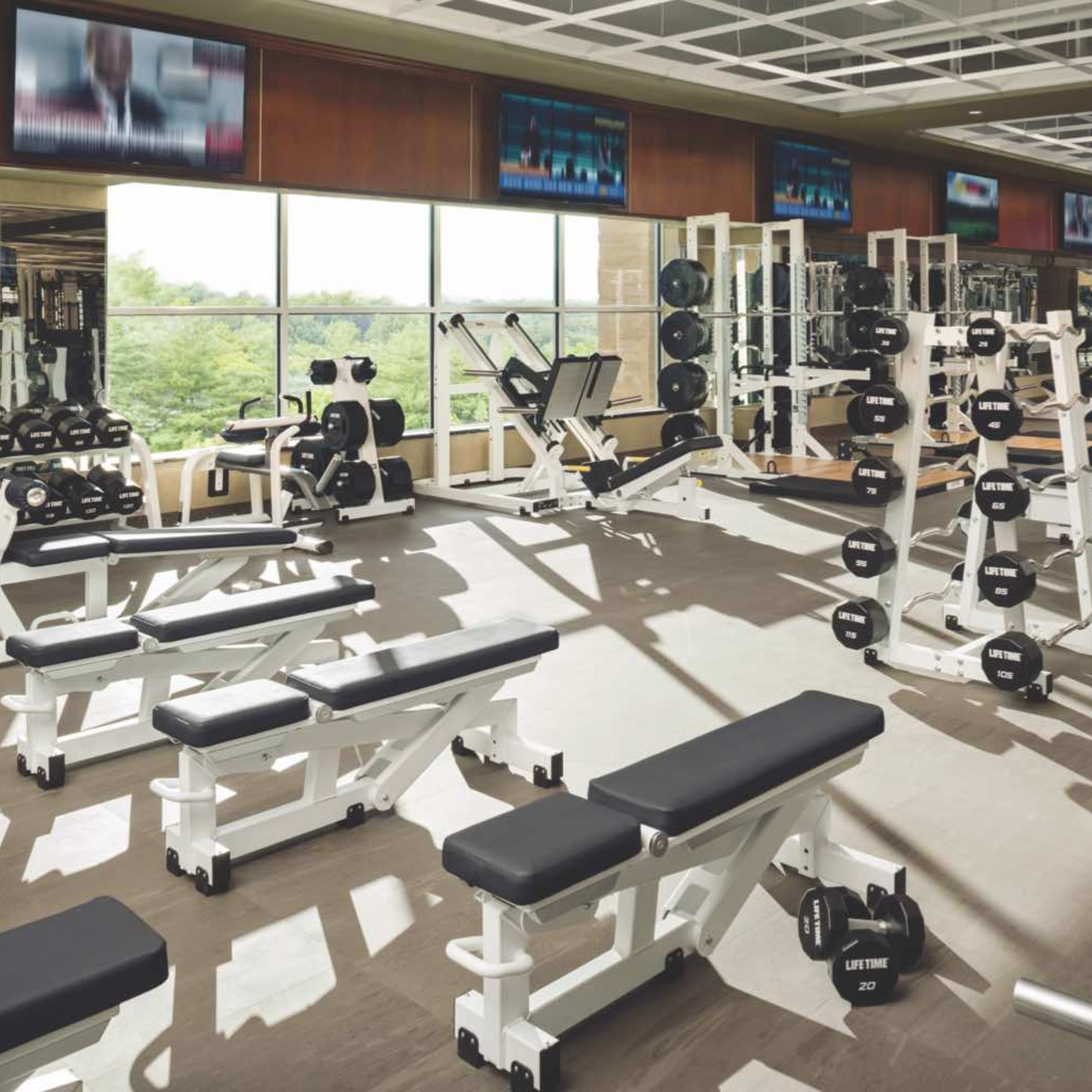 A well-equipped gym featuring various weightlifting machines and free weights arranged neatly in a spacious, brightly lit area.